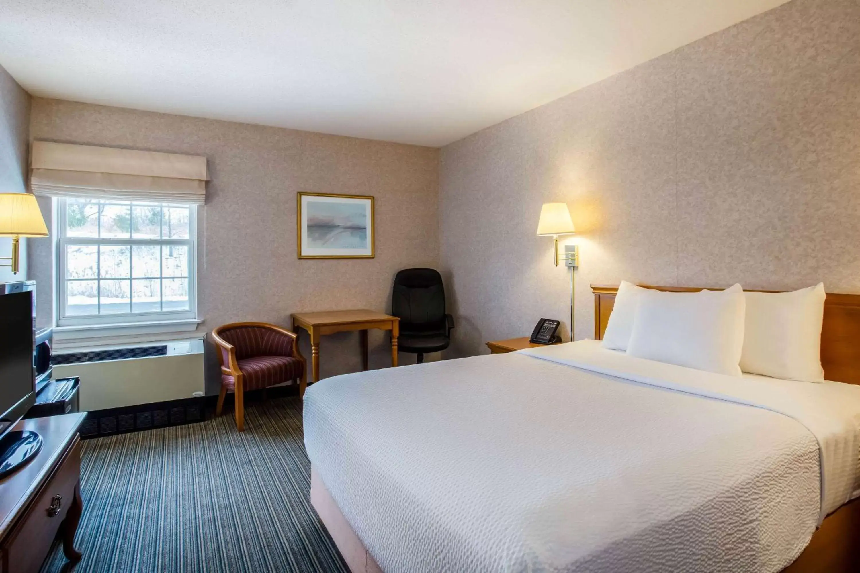 Queen Room - Disability Access in Holiday Inn Express St. Albans by IHG Queen Room - Disability Access in Holiday Inn Express St. Albans by IHG