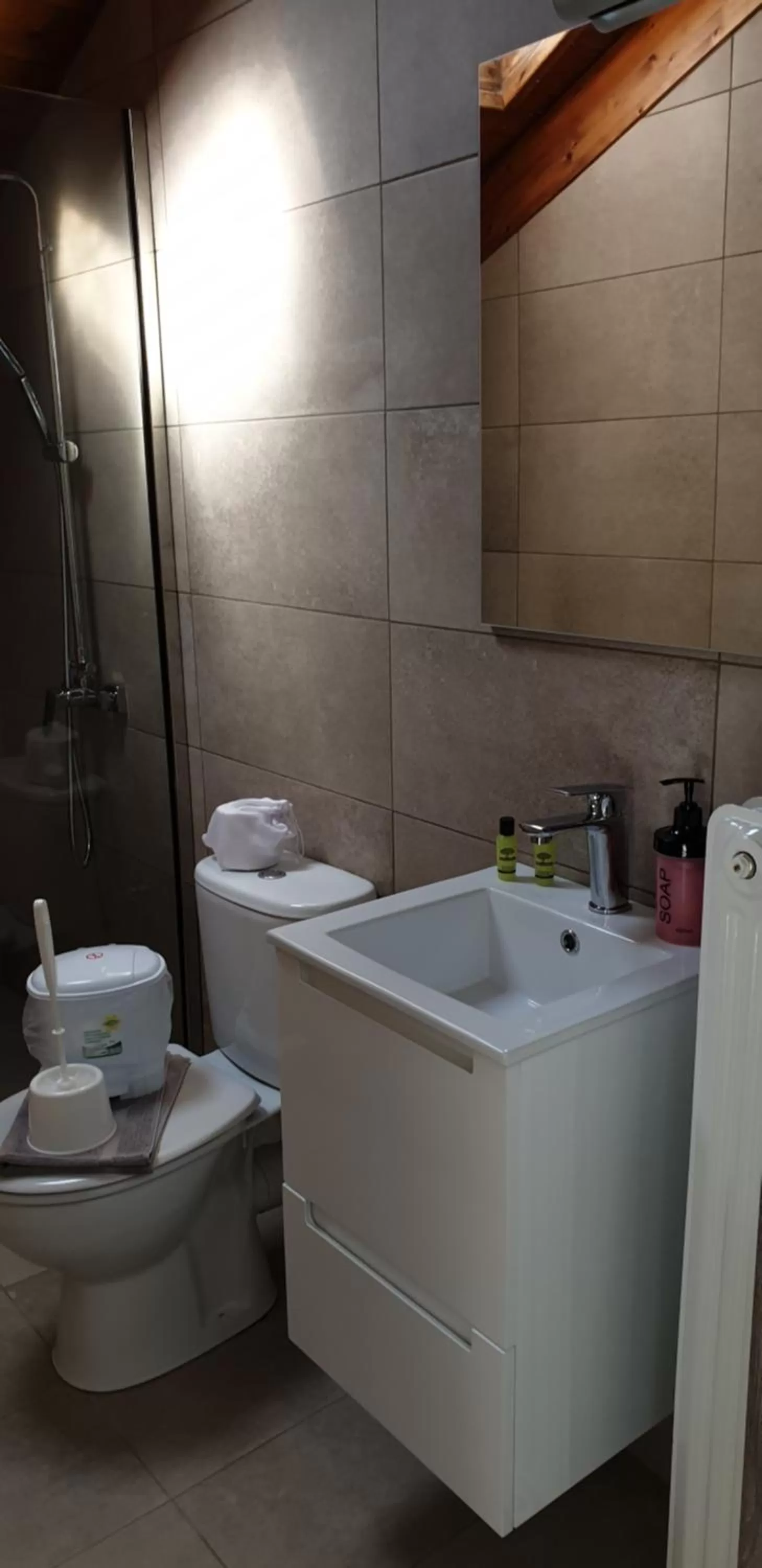 Shower in Alexia's Apartments