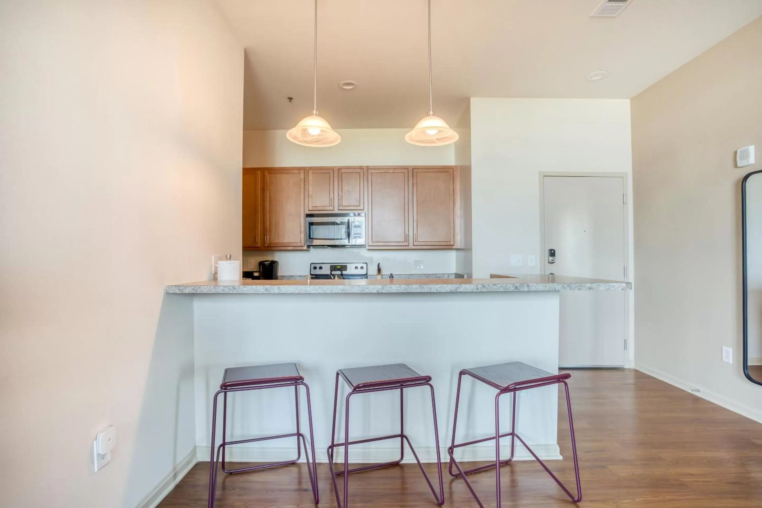 Kitchen or kitchenette in Mint House Greenville - Downtown