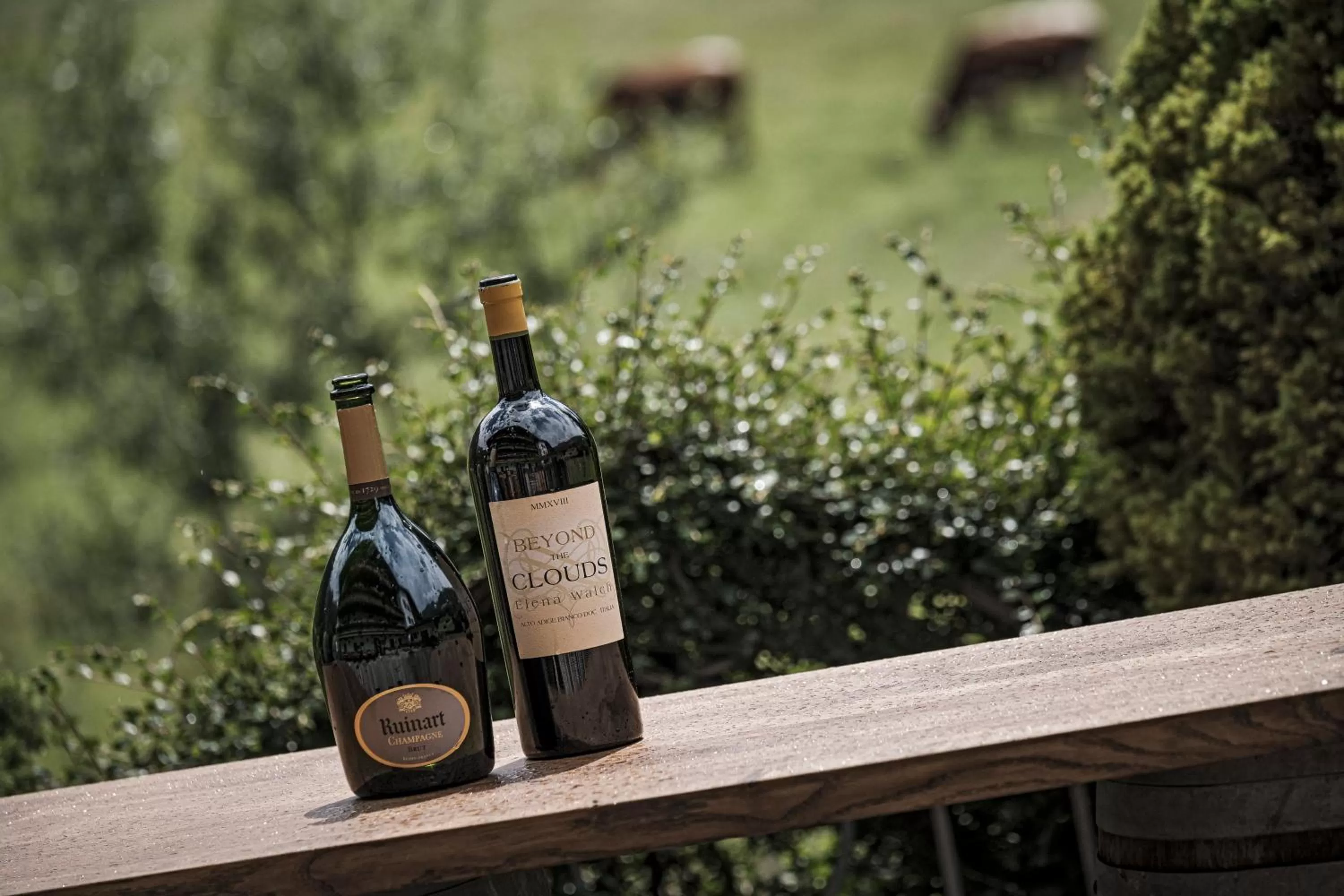 Balcony/Terrace in Biohotel Rastbichlhof