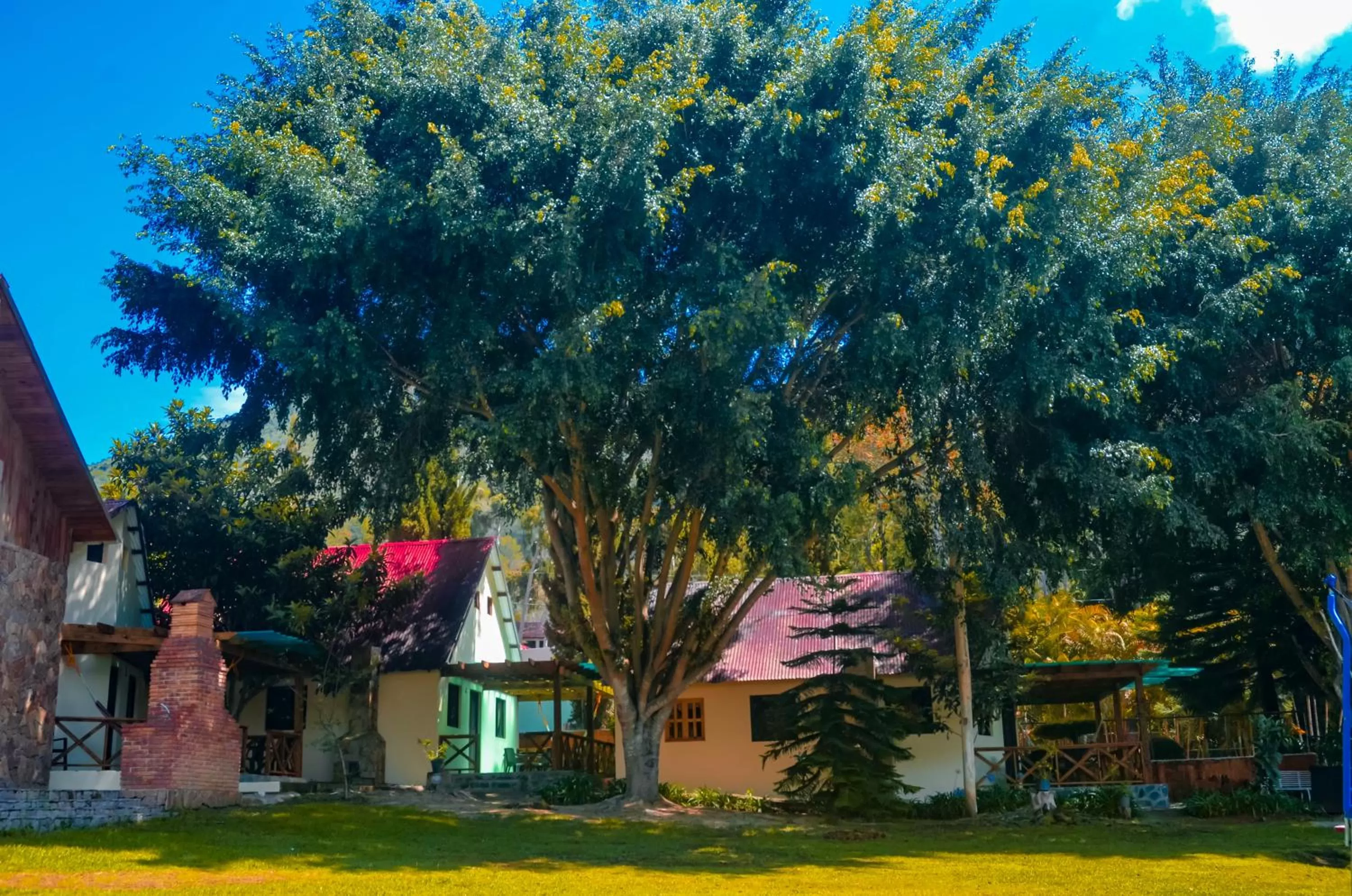 Garden in Hotel Rancho Constanza & Cabañas de la Montaña