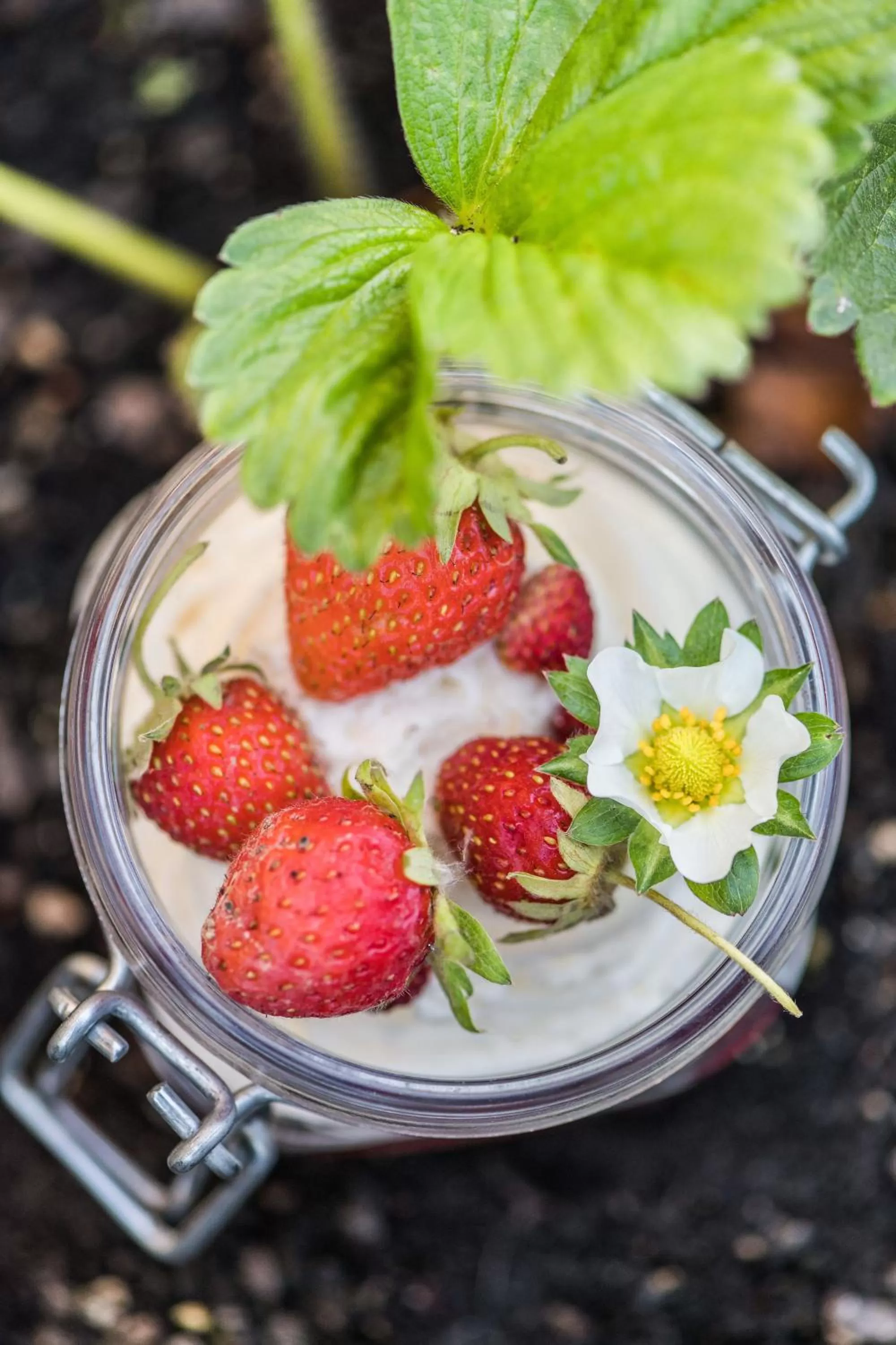 Food and drinks in Hostal Buenos Aires