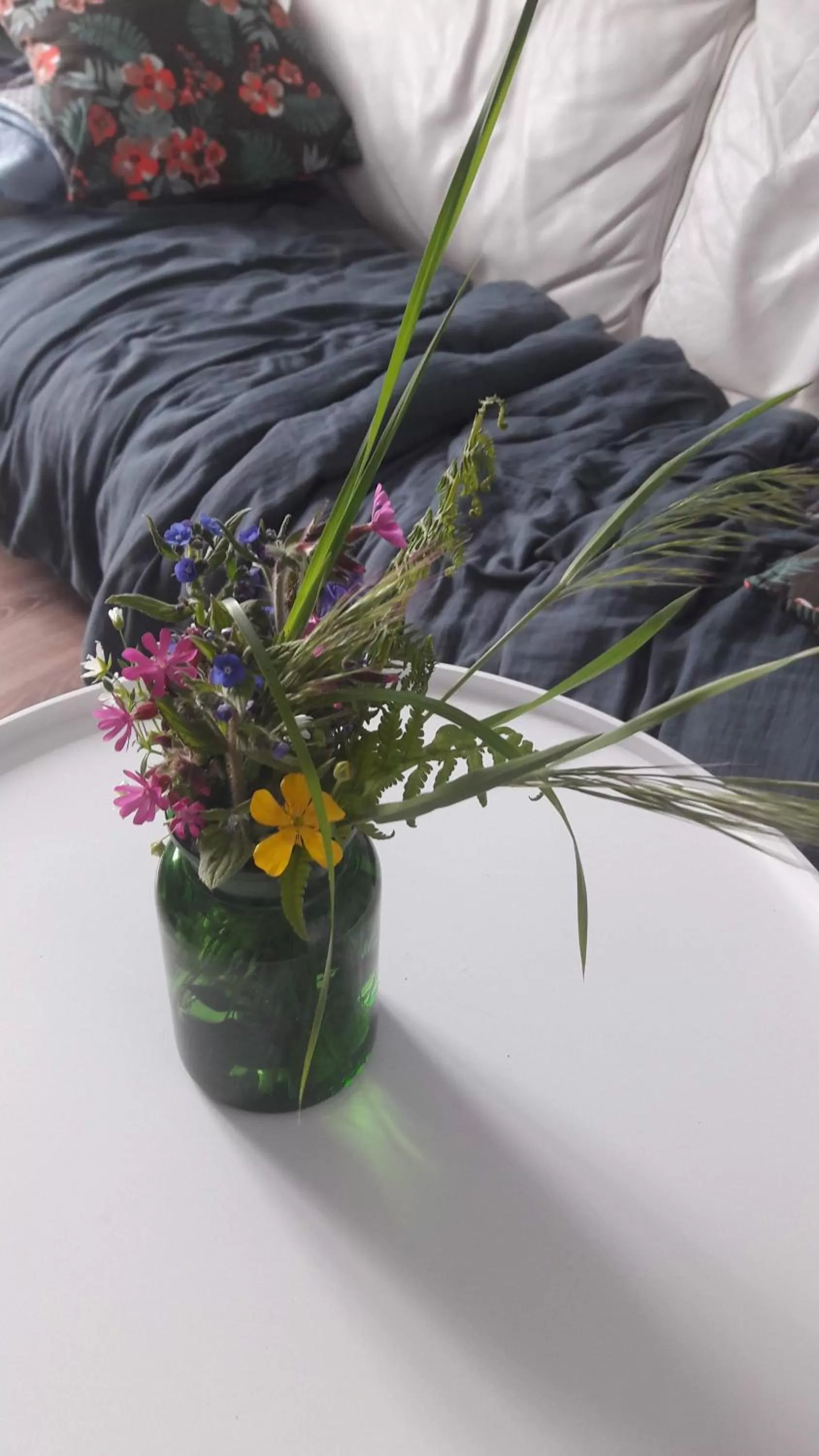 Communal lounge/ TV room in LE VERT NOMADE