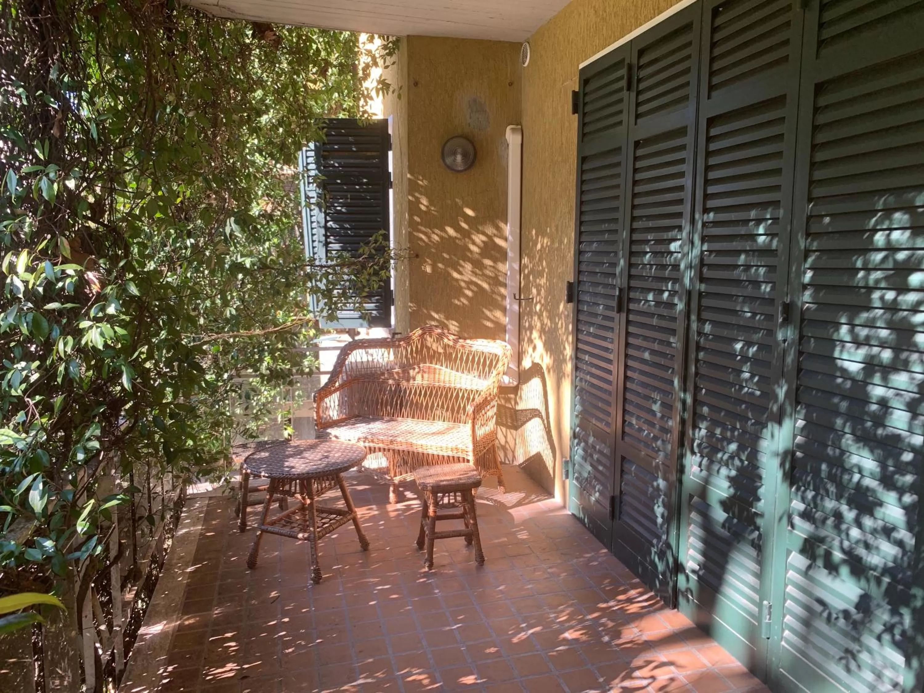 Garden in Villa Mase