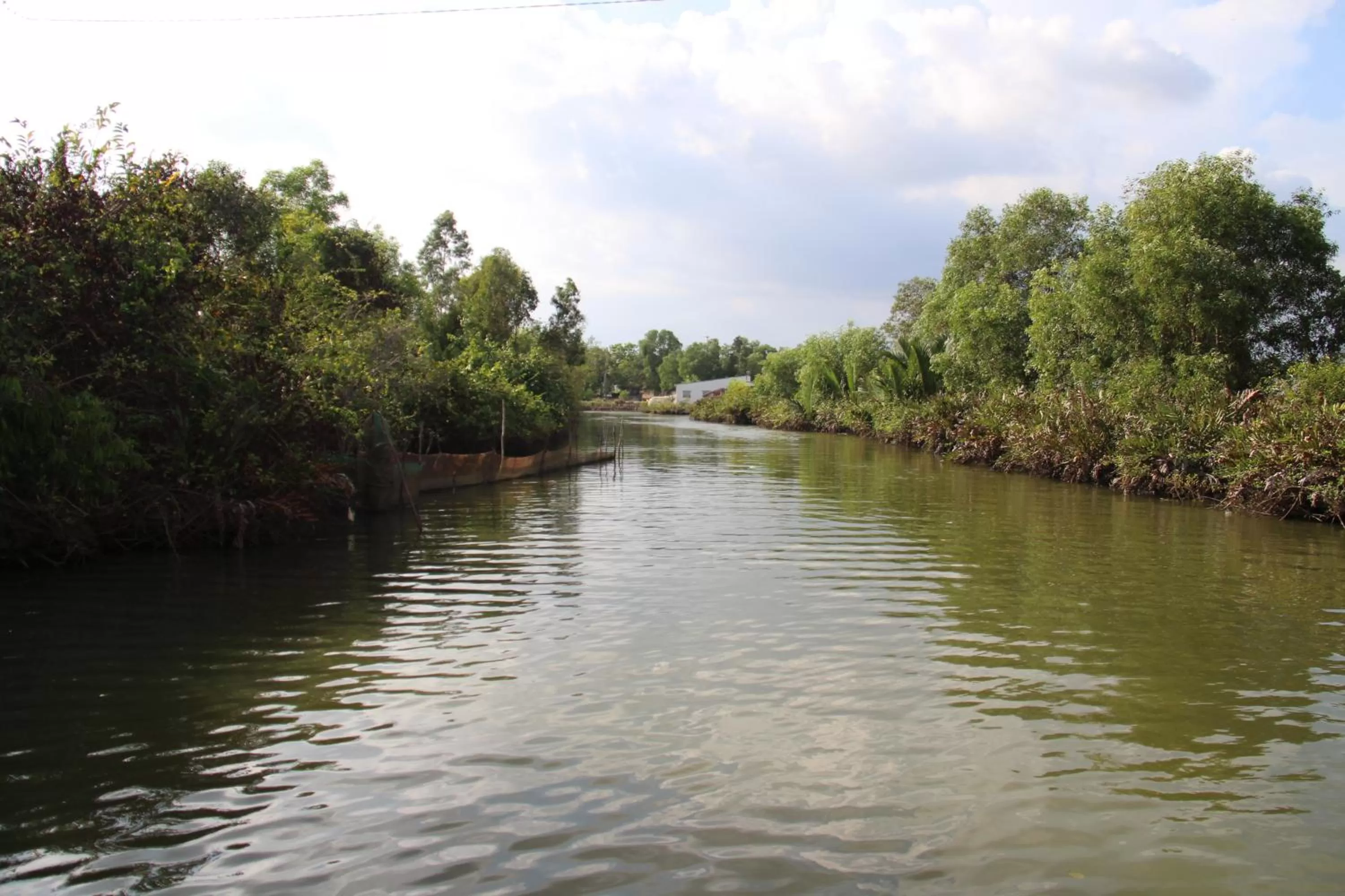 Activities in River Hotel