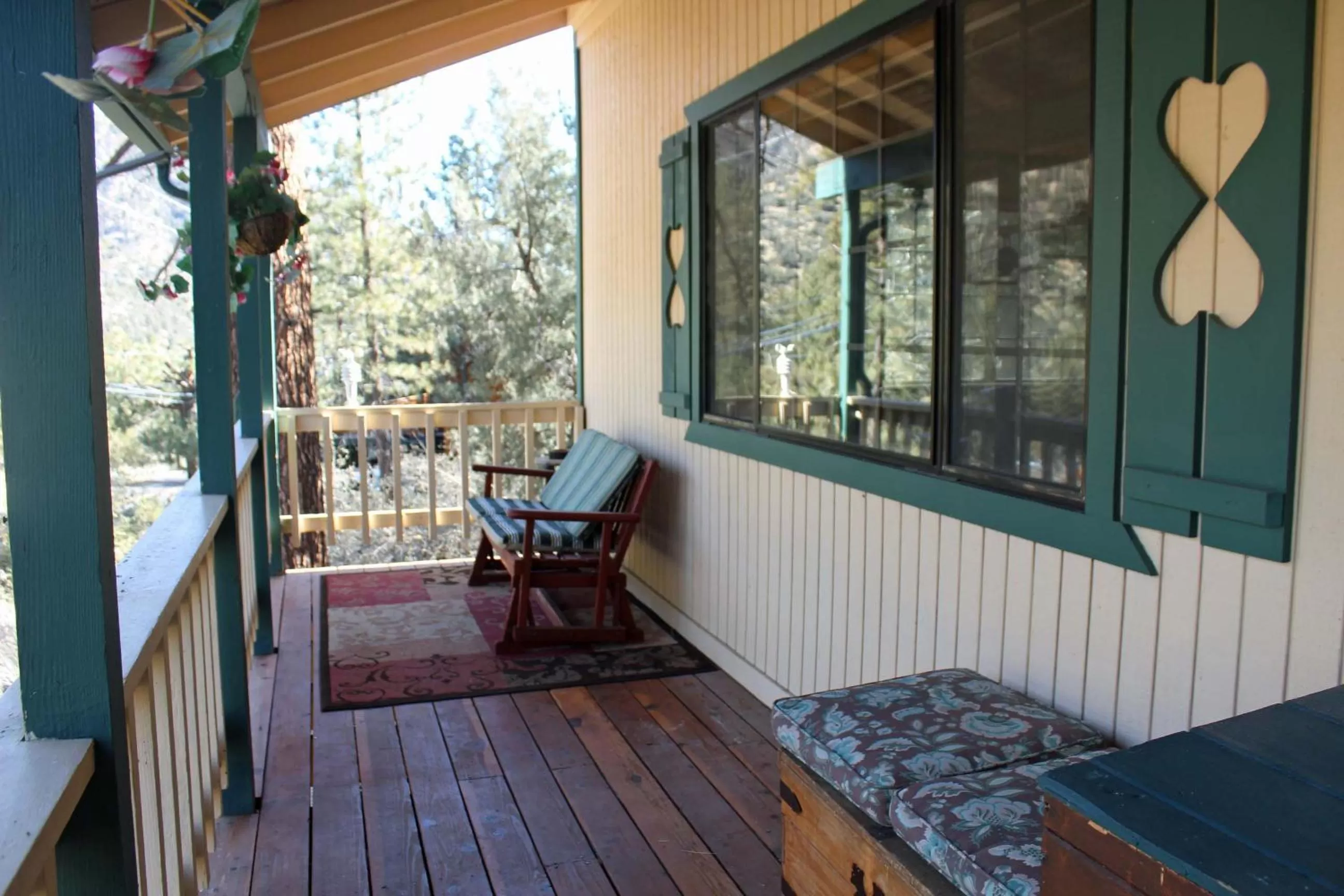 Patio, Balcony/Terrace in The Old Bear BnB