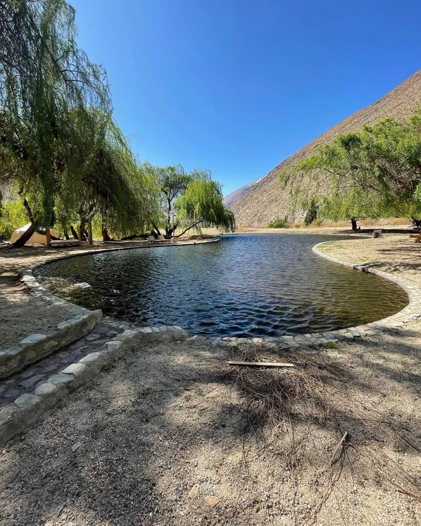 Swimming pool in Glamping Miraflores