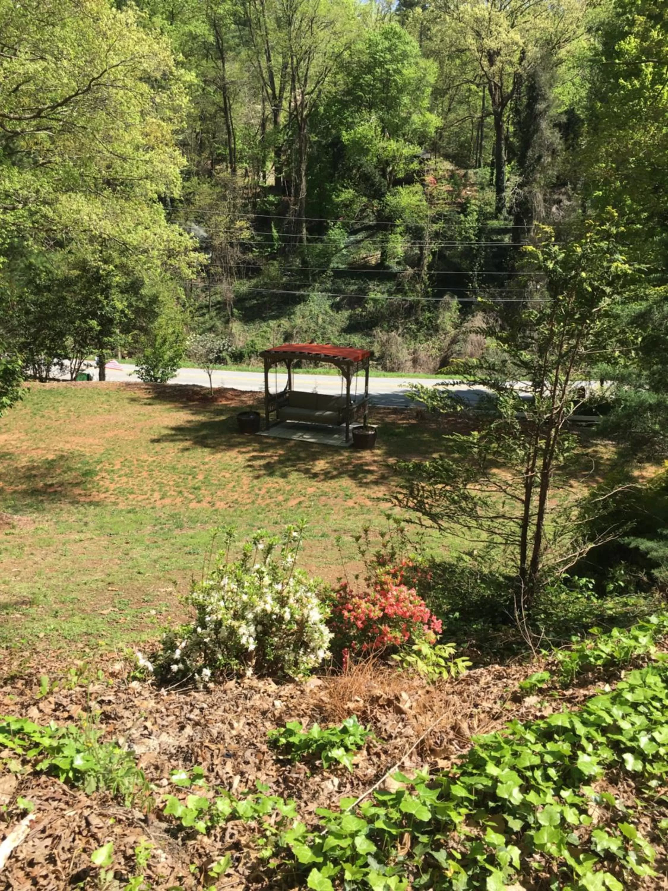Natural landscape in Grafton Lodge
