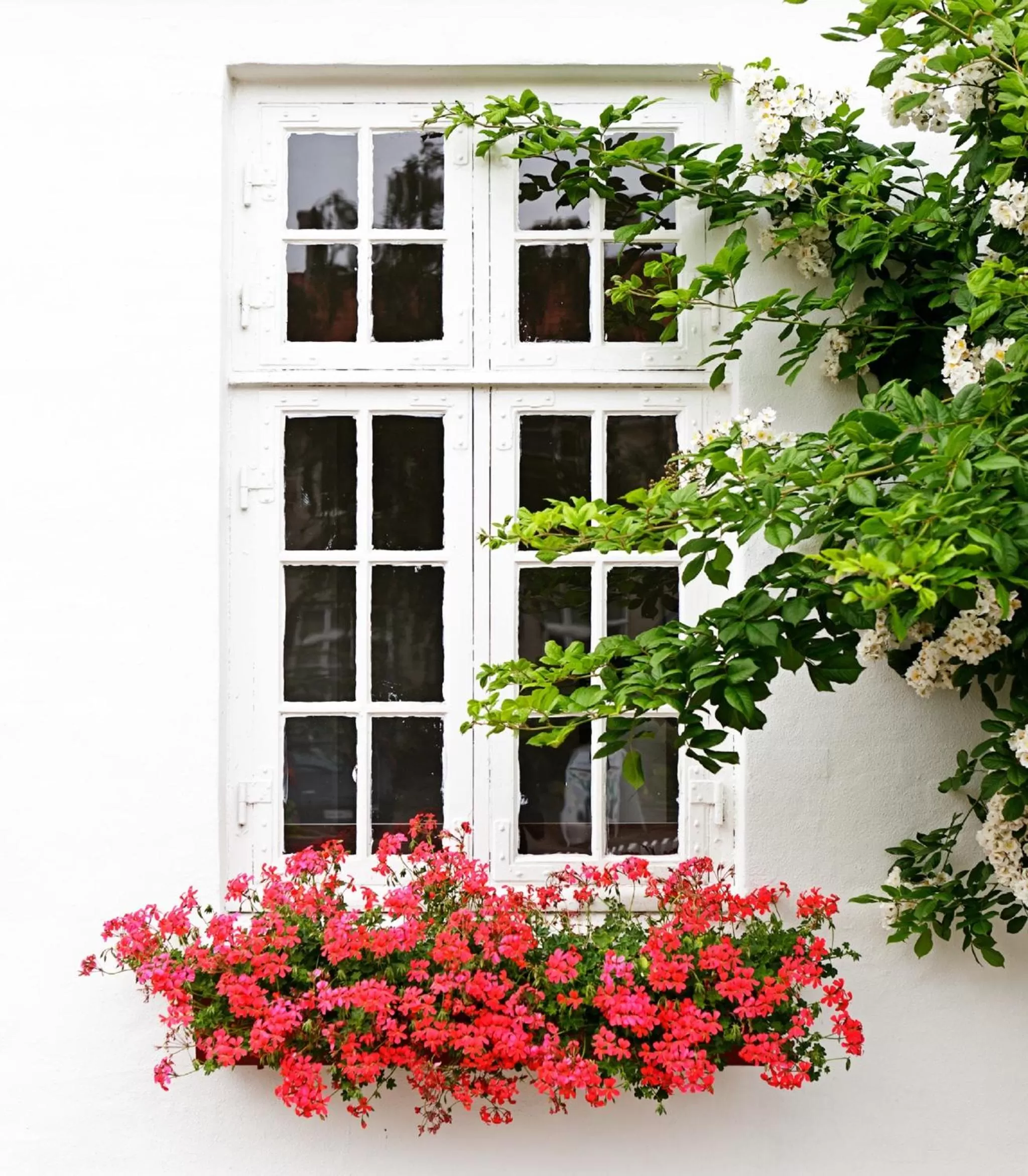 Garden in Hotel Kirstine
