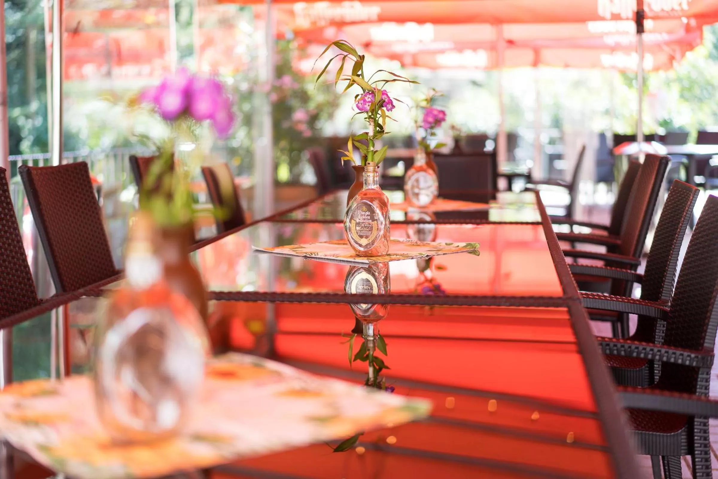 Restaurant/places to eat in Waldgaststätte Sennhütte