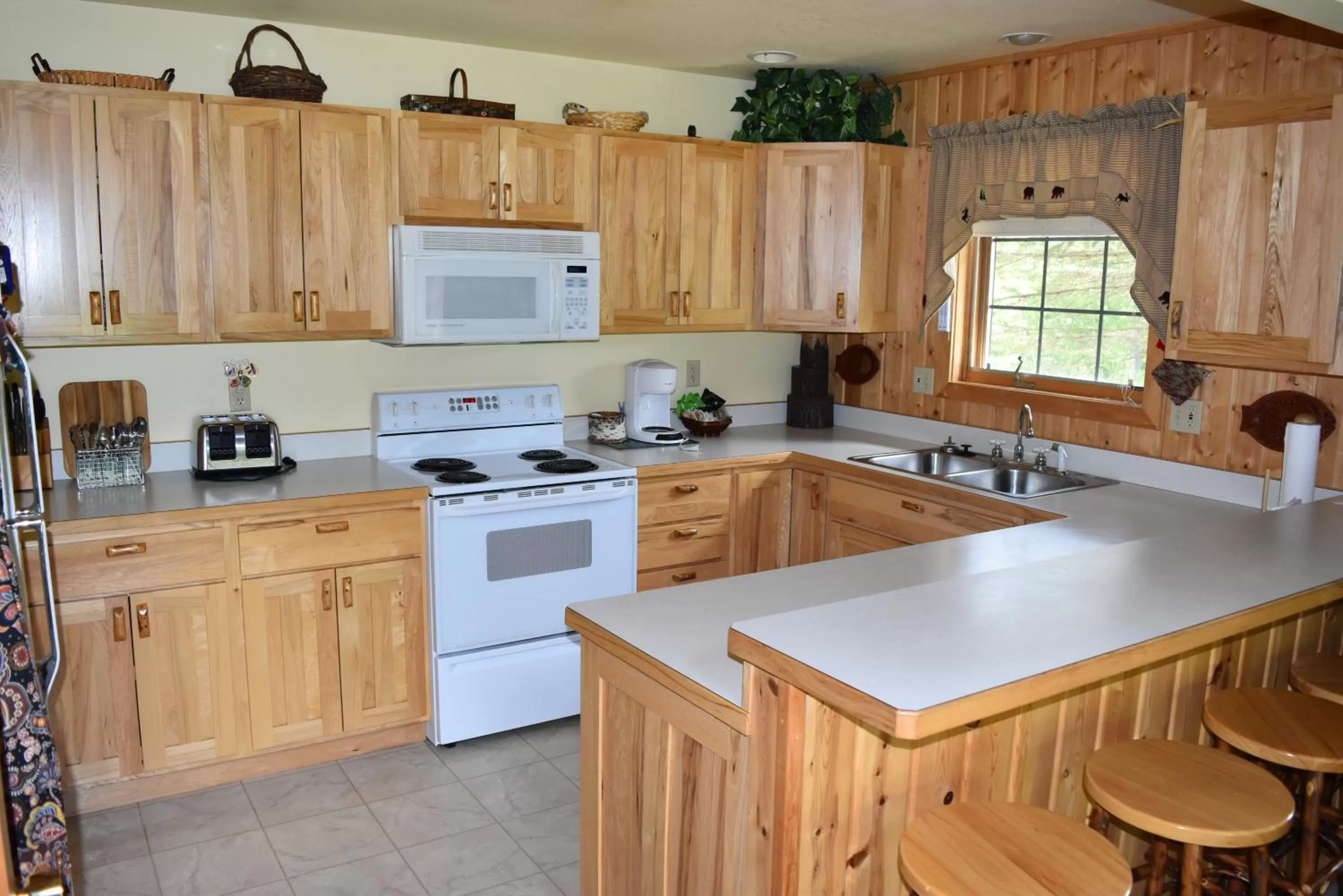 Kitchen or kitchenette in Drummond Island Resort