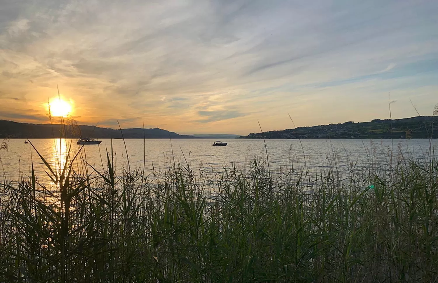 Natural landscape in No1 Art B&B