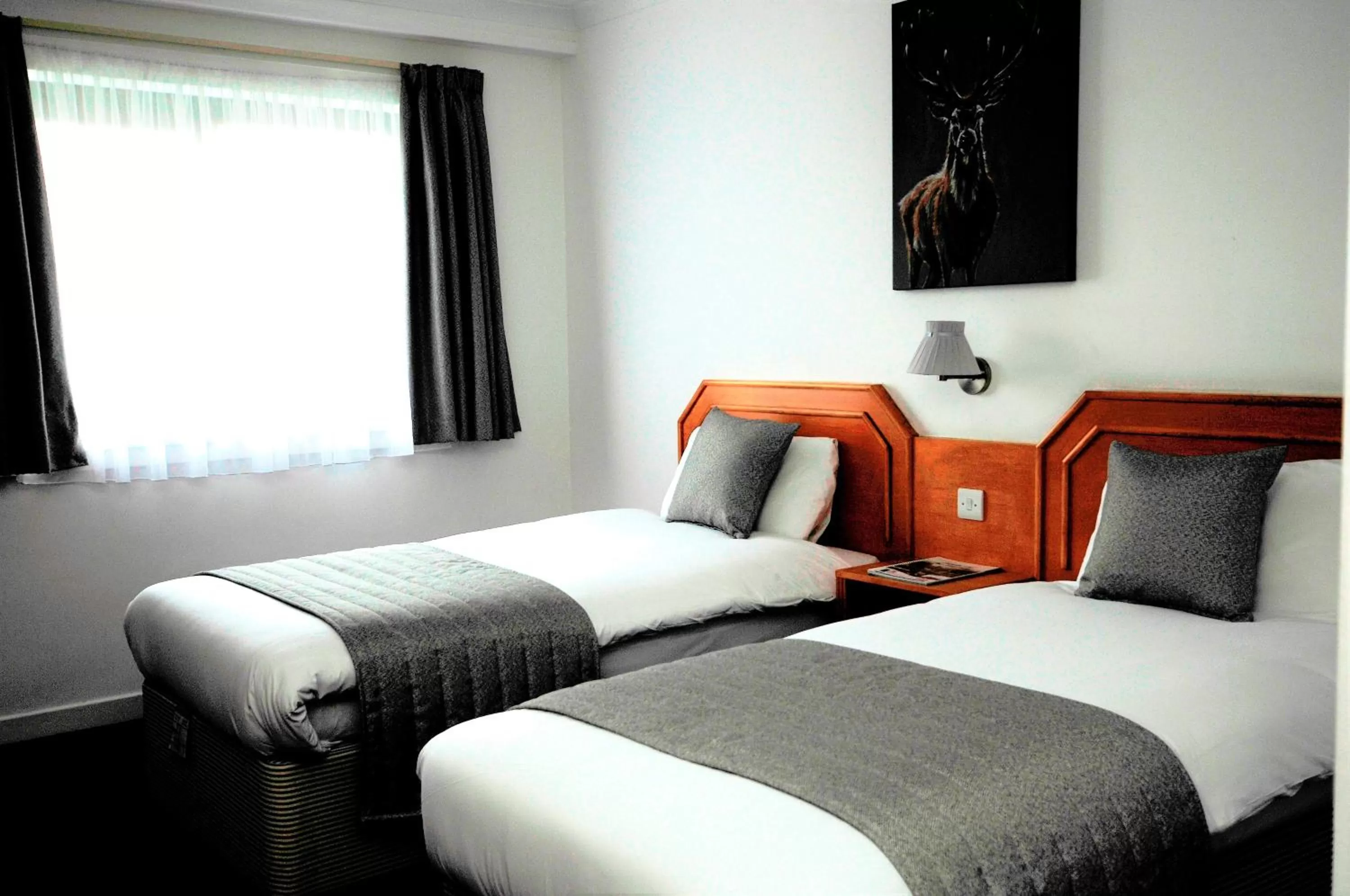 Bed in Days Inn Hamilton