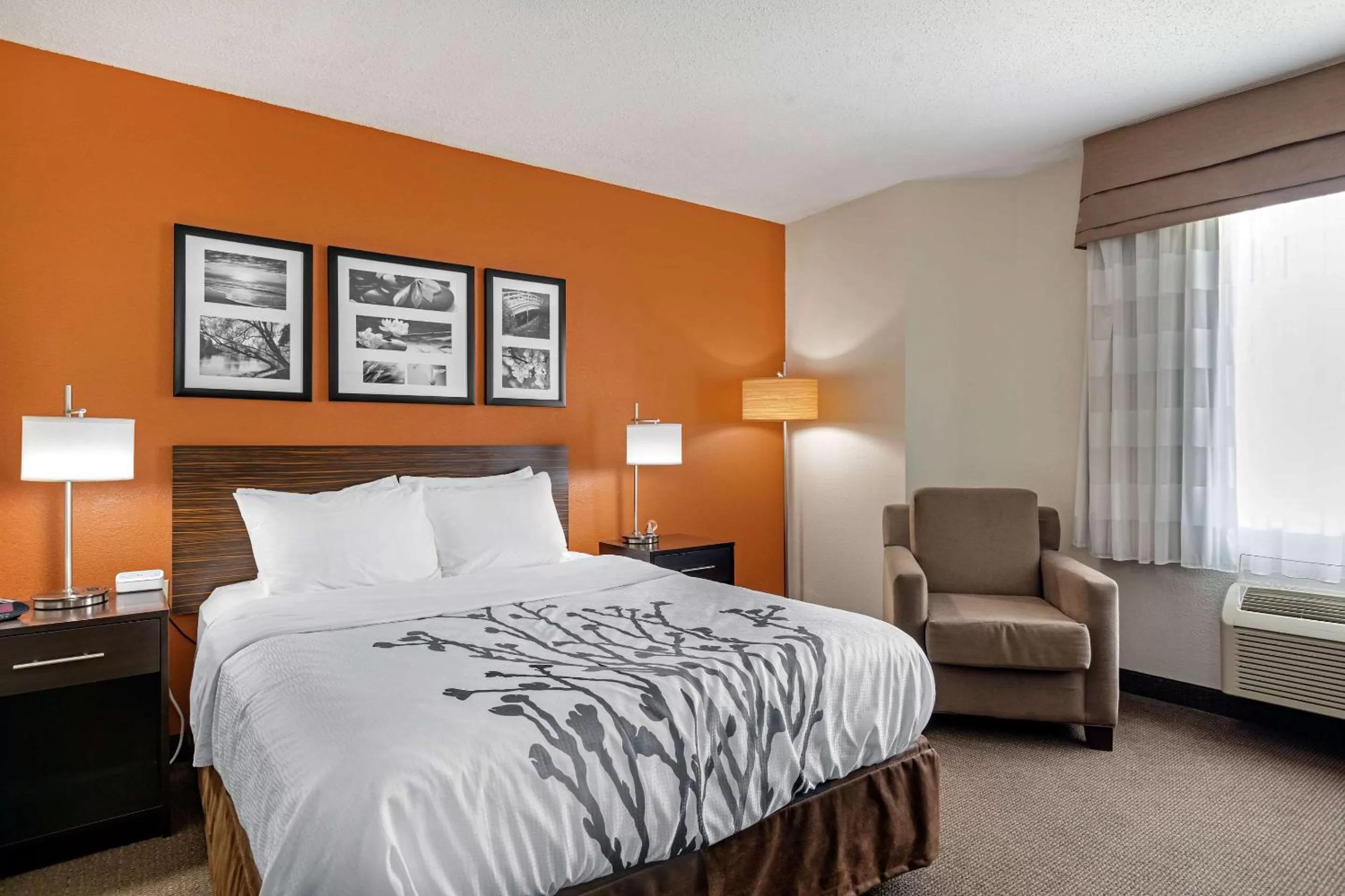 Photo of the whole room, Bed in Sleep Inn DeWitt - Lansing North