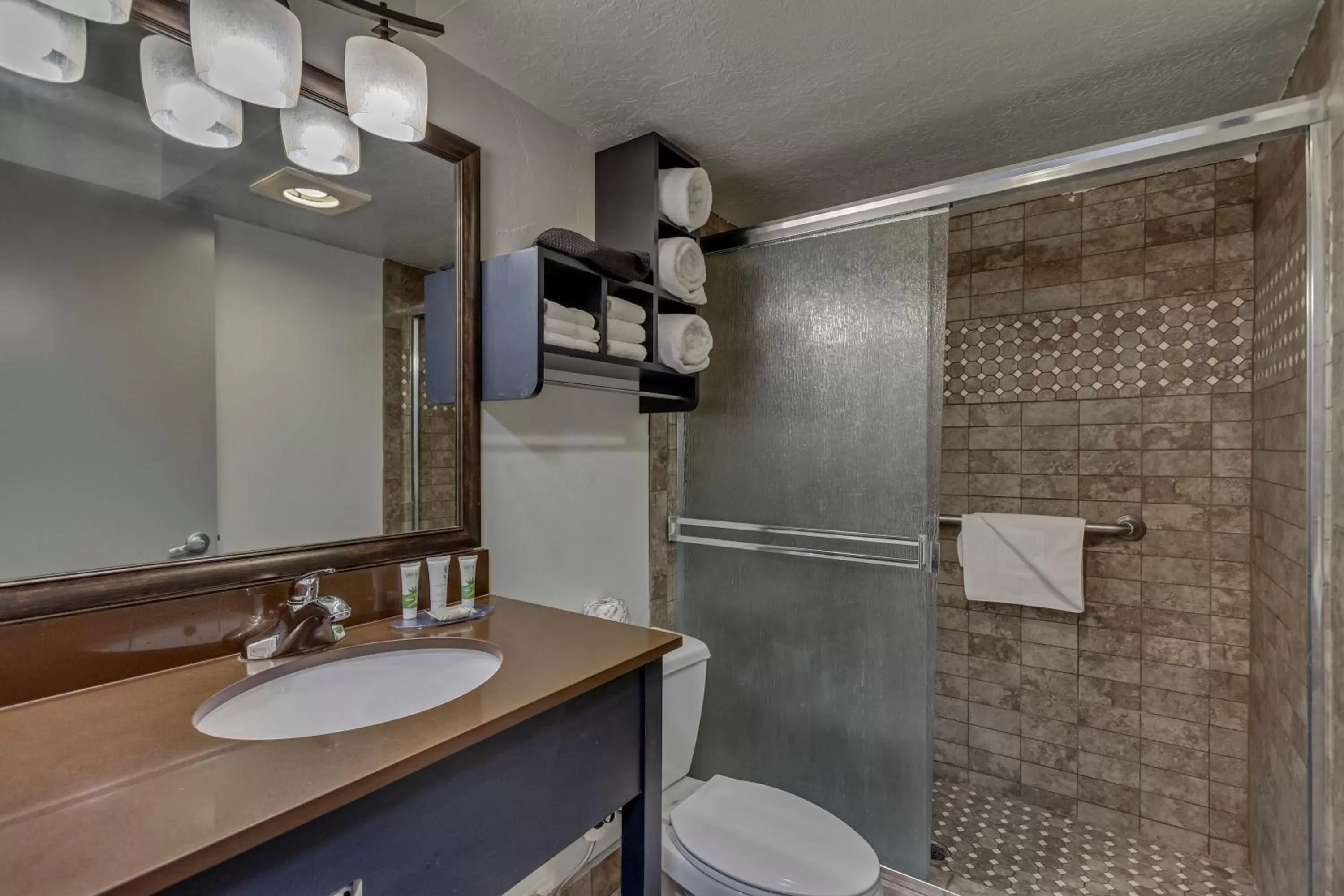 Shower in Park Inn by Radisson, Salt Lake City-Midvale
