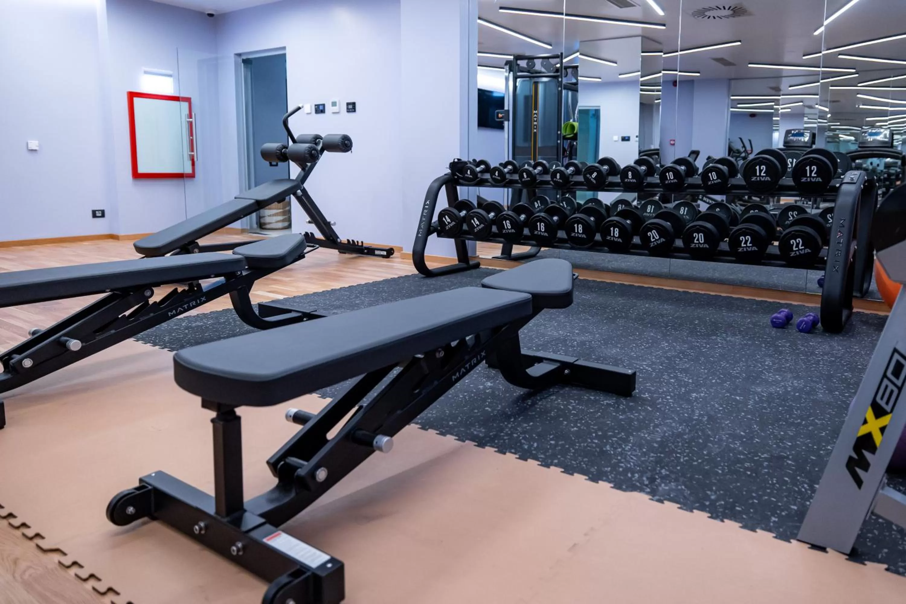Fitness centre/facilities, Fitness Center/Facilities in Hotel Belmont