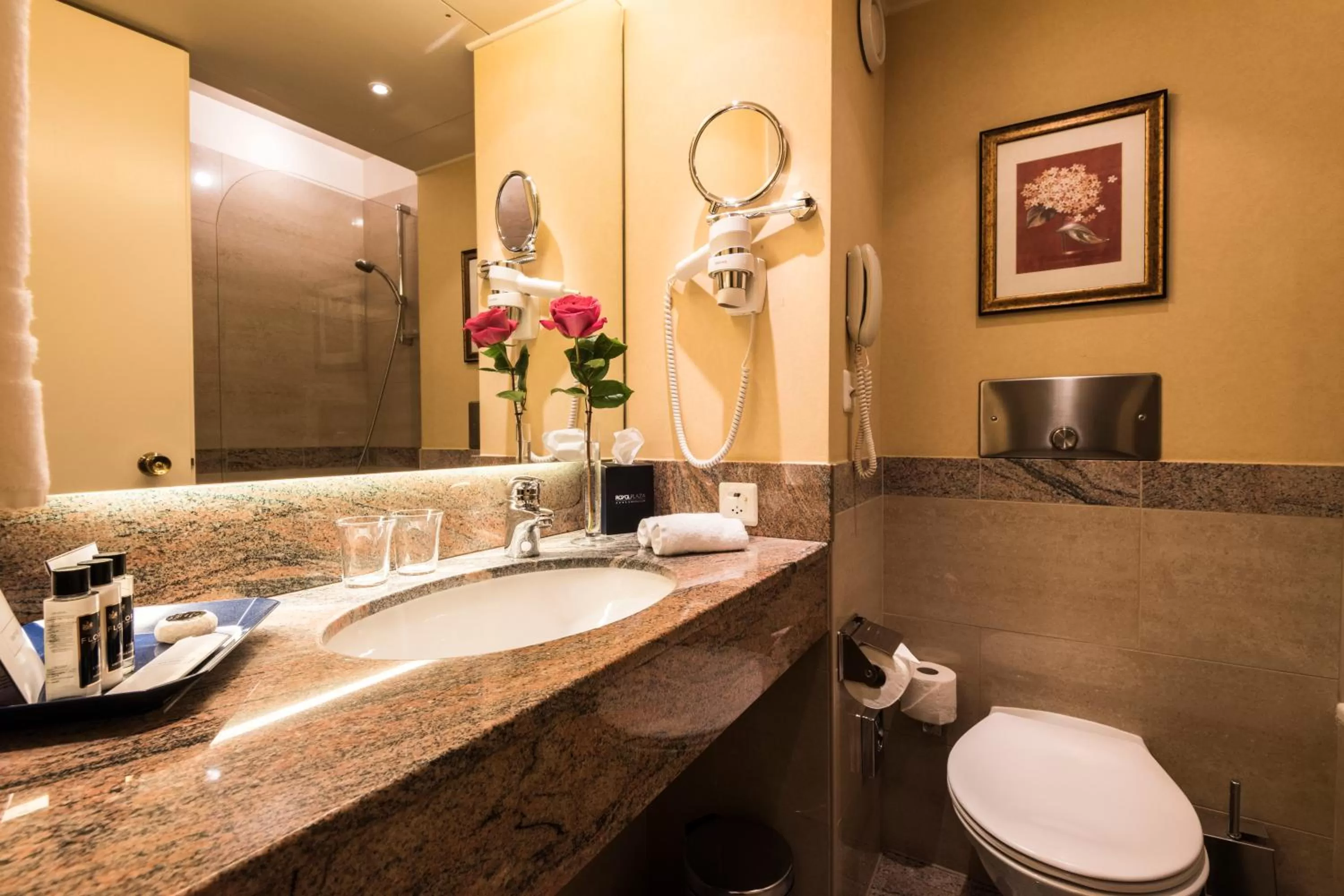 Toilet in Royal Plaza Montreux