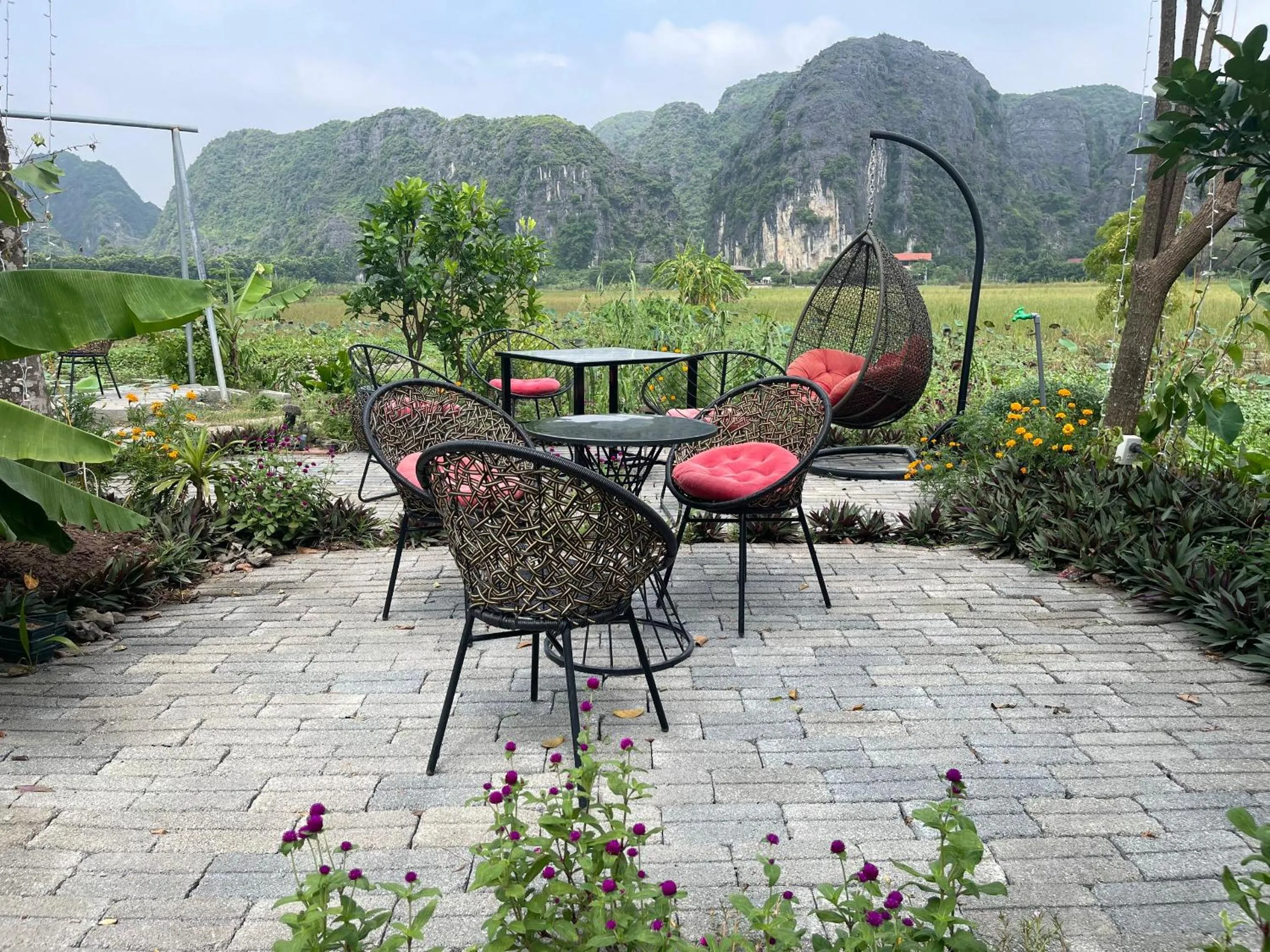 Tam Coc Mountain View Homestay
