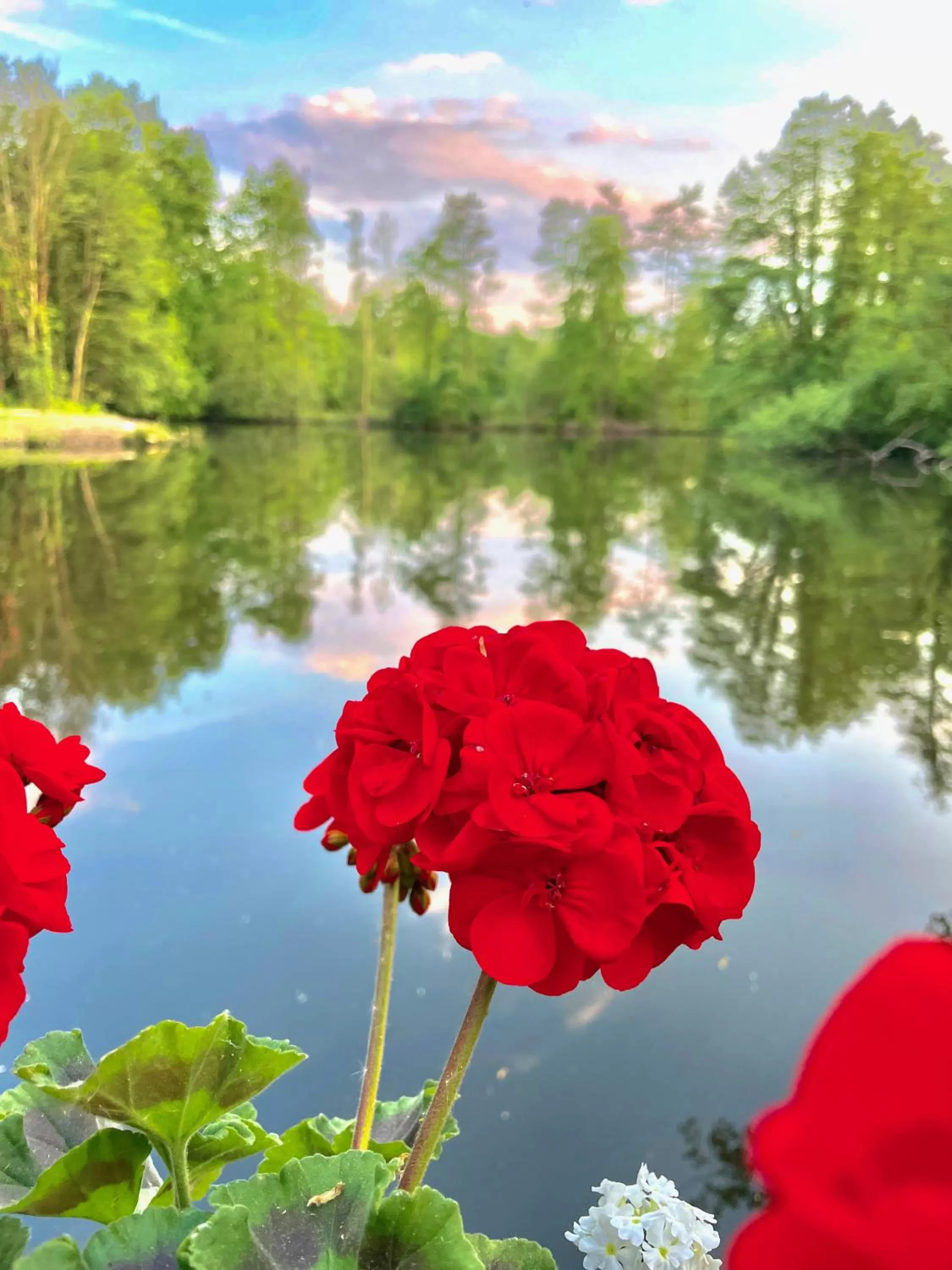 Lake view in Hotel Schloss Diepenbrock