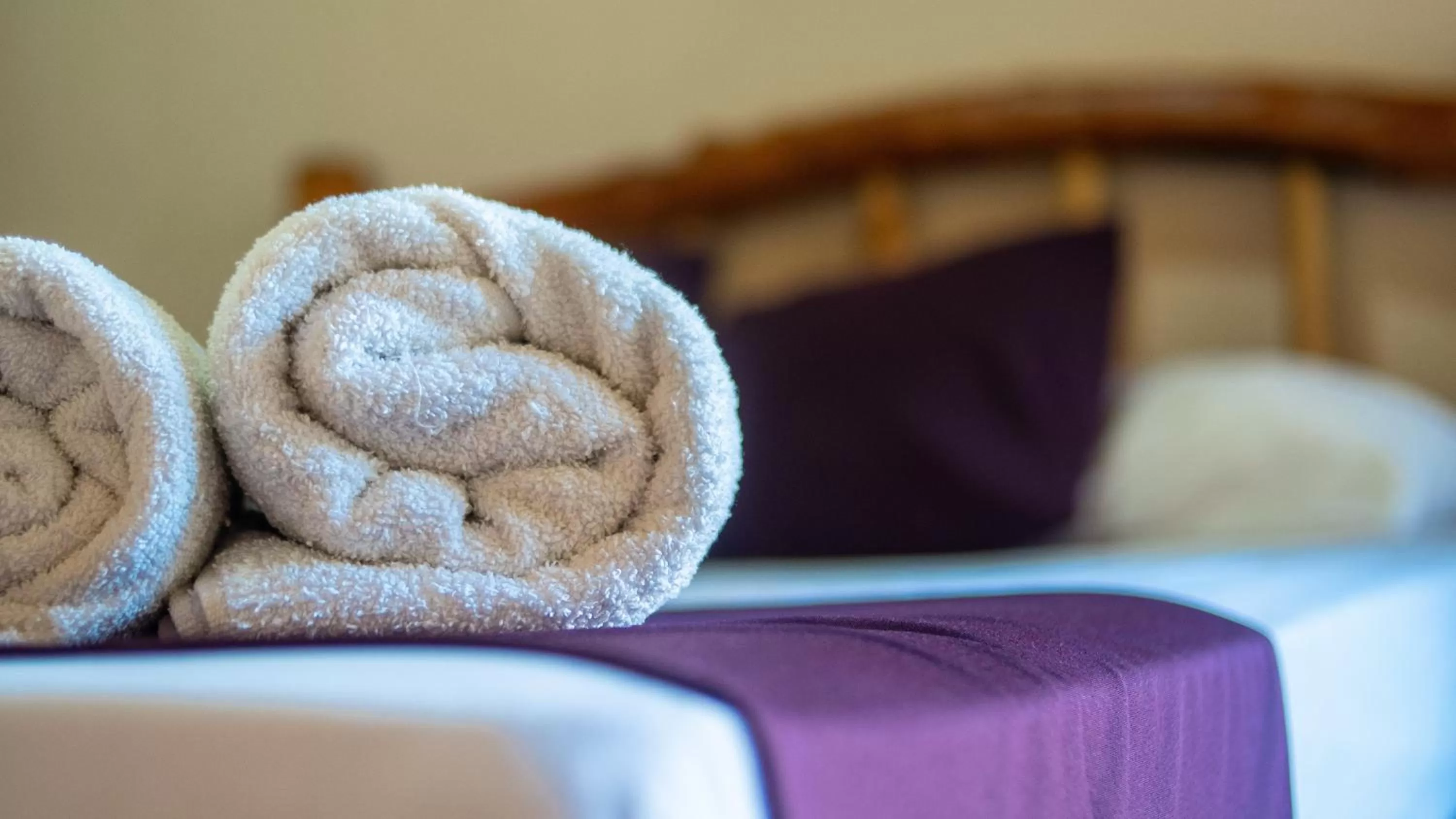 Decorative detail in Posada Los Tajibos