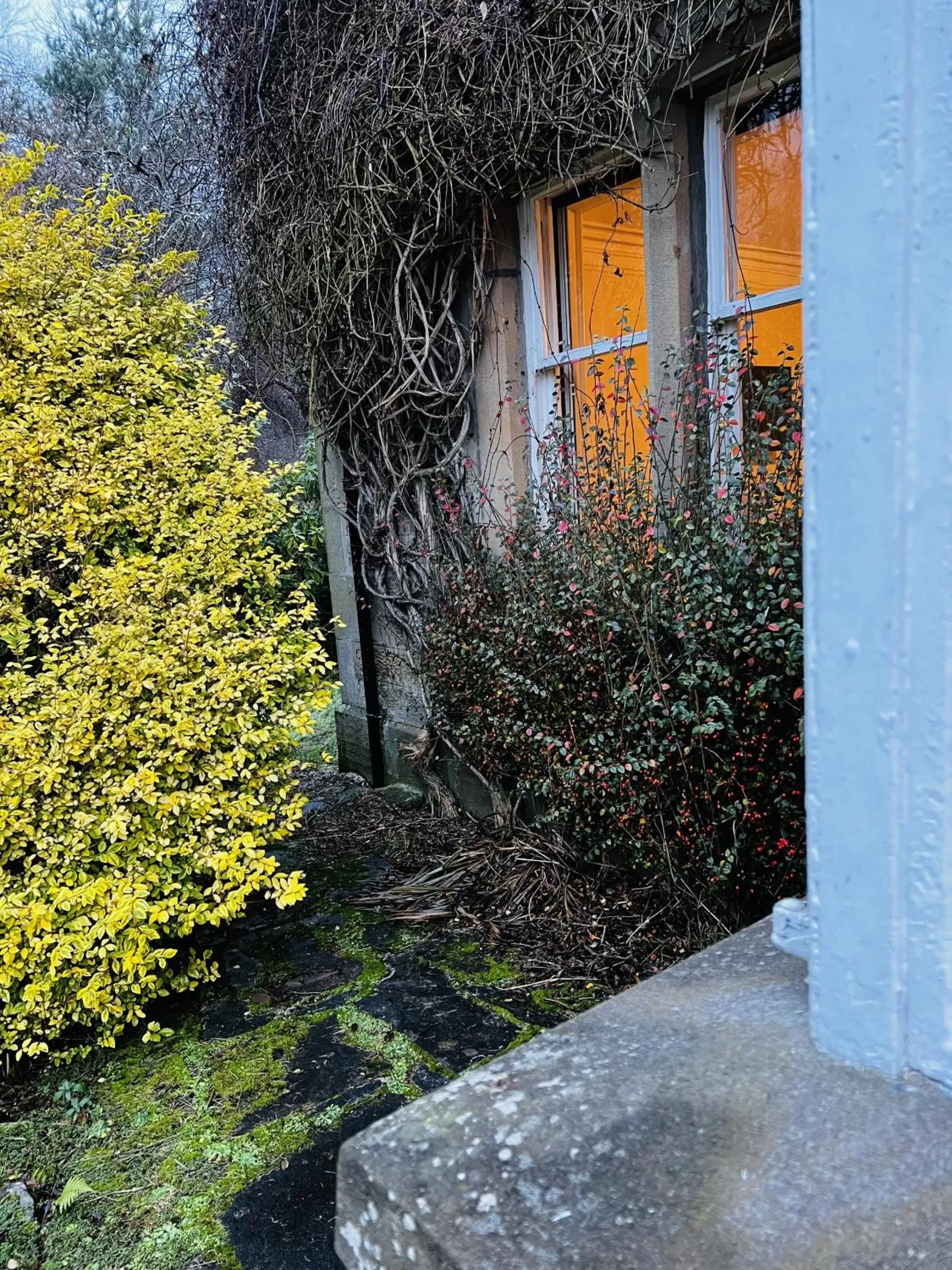 Garden, Property Building in St Duthus Villa Guesthouse