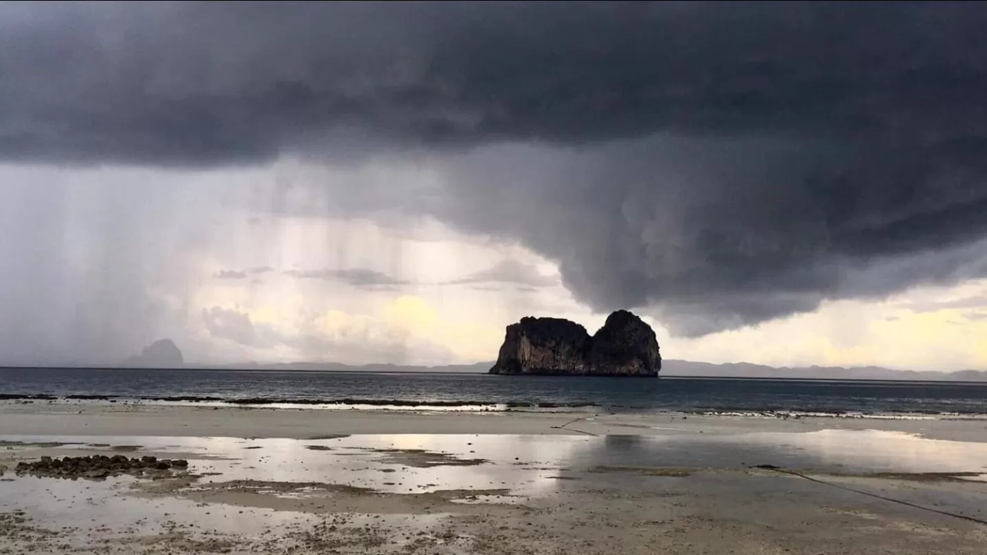 Natural landscape in Thanya Beach Resort - SHA Plus