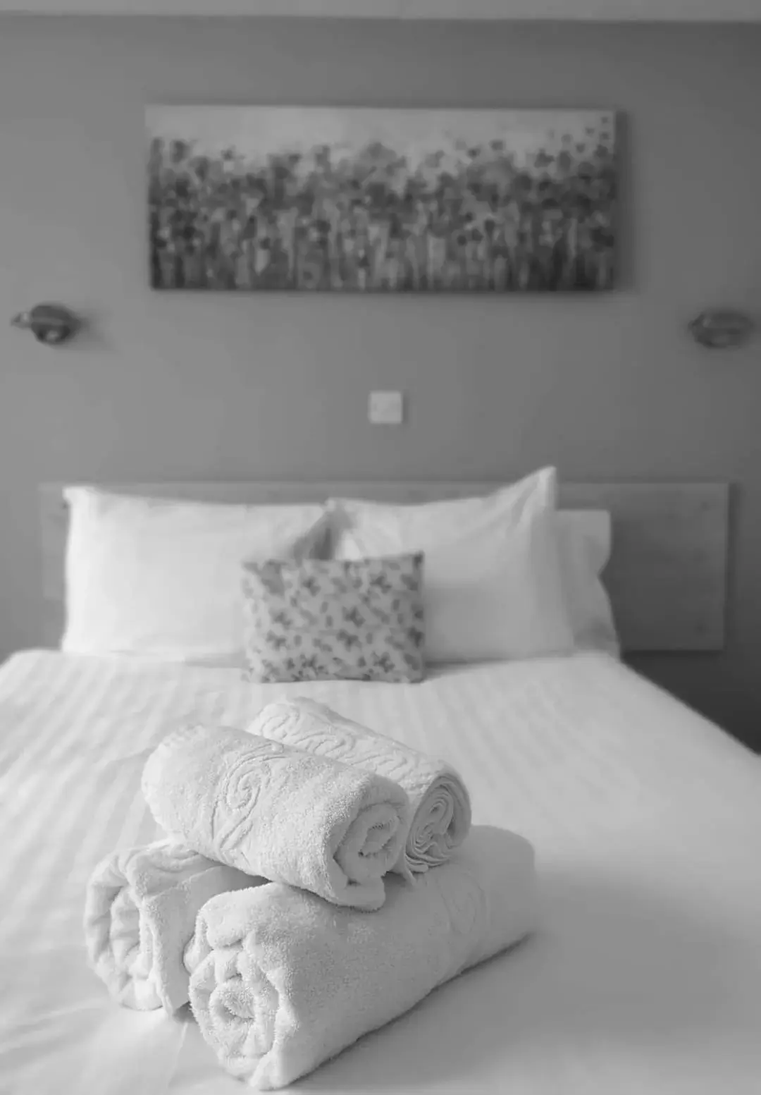 Double Room with Private Bathroom in The Kynance House on Plymouth Hoe ,26 Ensuite Rooms Double Room with Private Bathroom in The Kynance House on Plymouth Hoe ,26 Ensuite Rooms