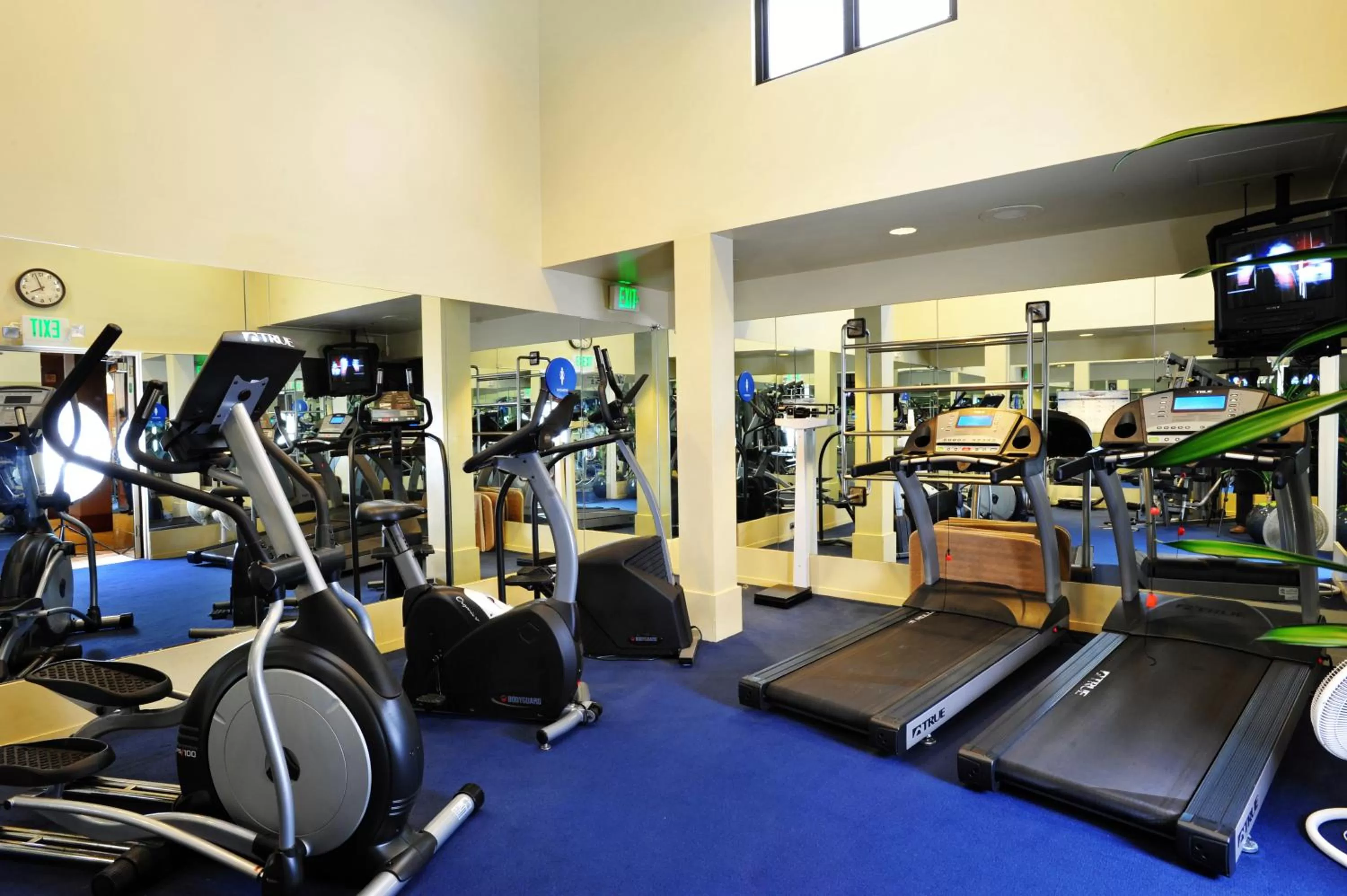Fitness centre/facilities in Club Donatello