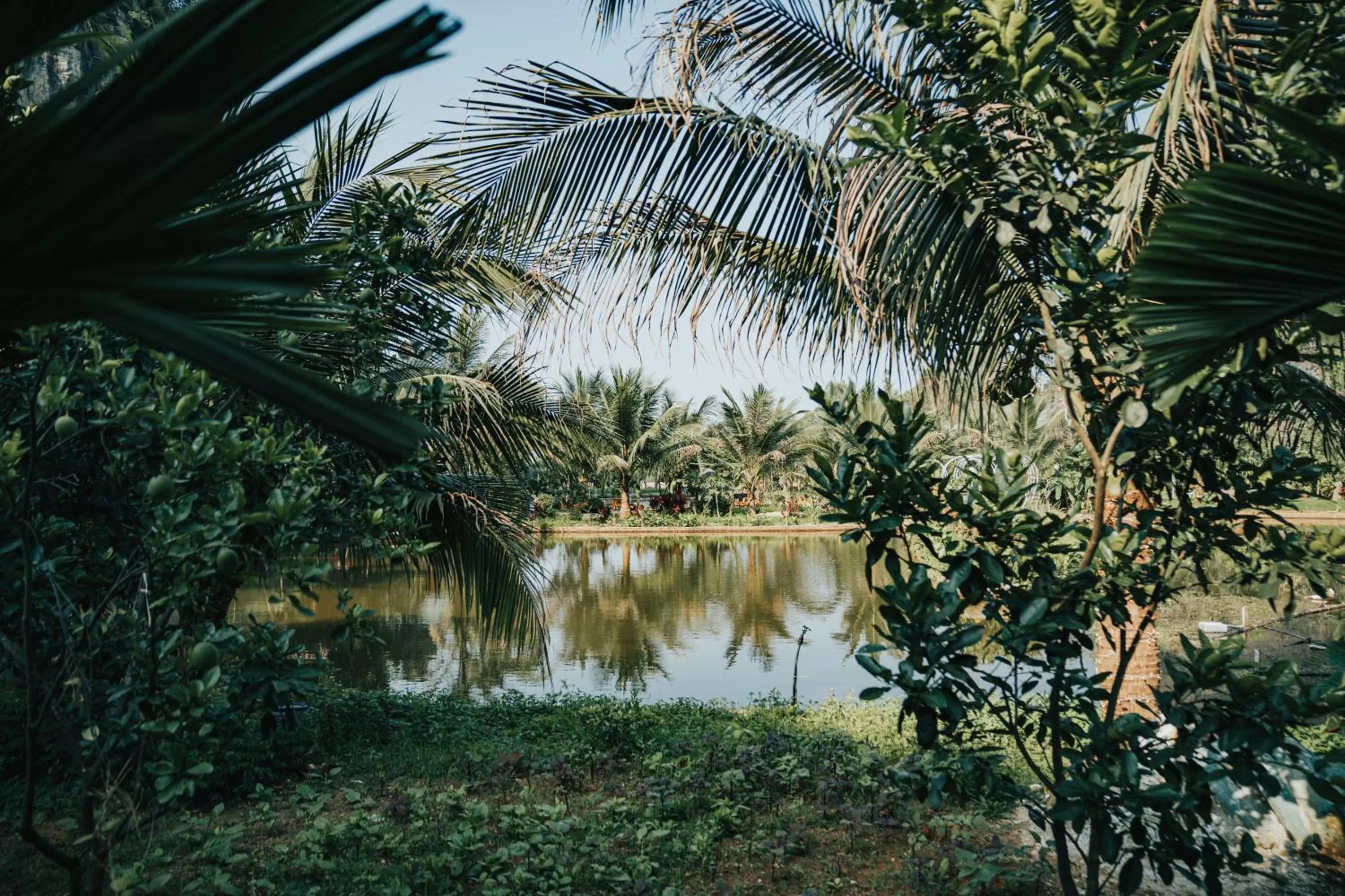 Garden in Fairy Mountain Retreat