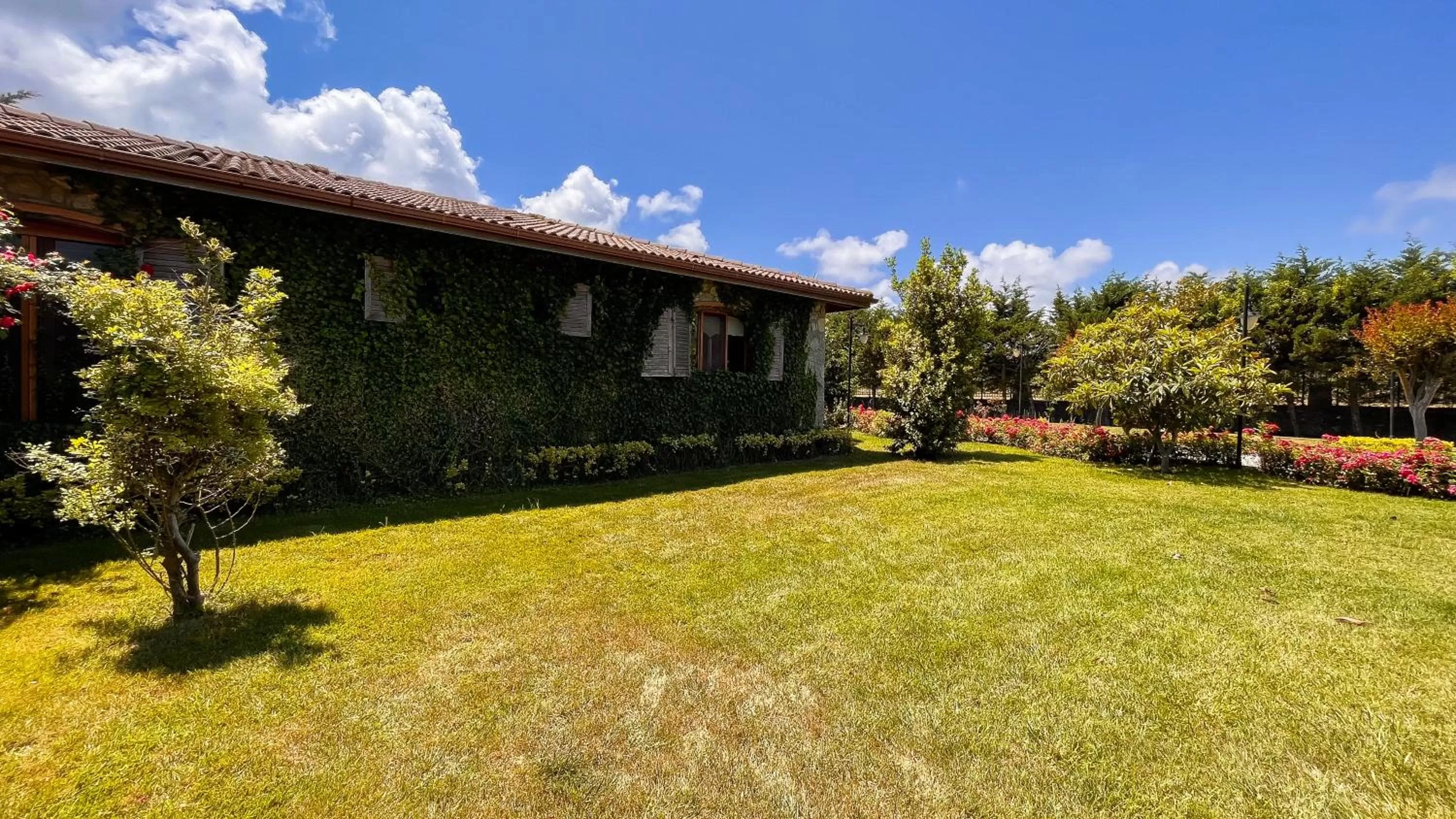 Property building in THE SIGN Şile Hotel & Spa