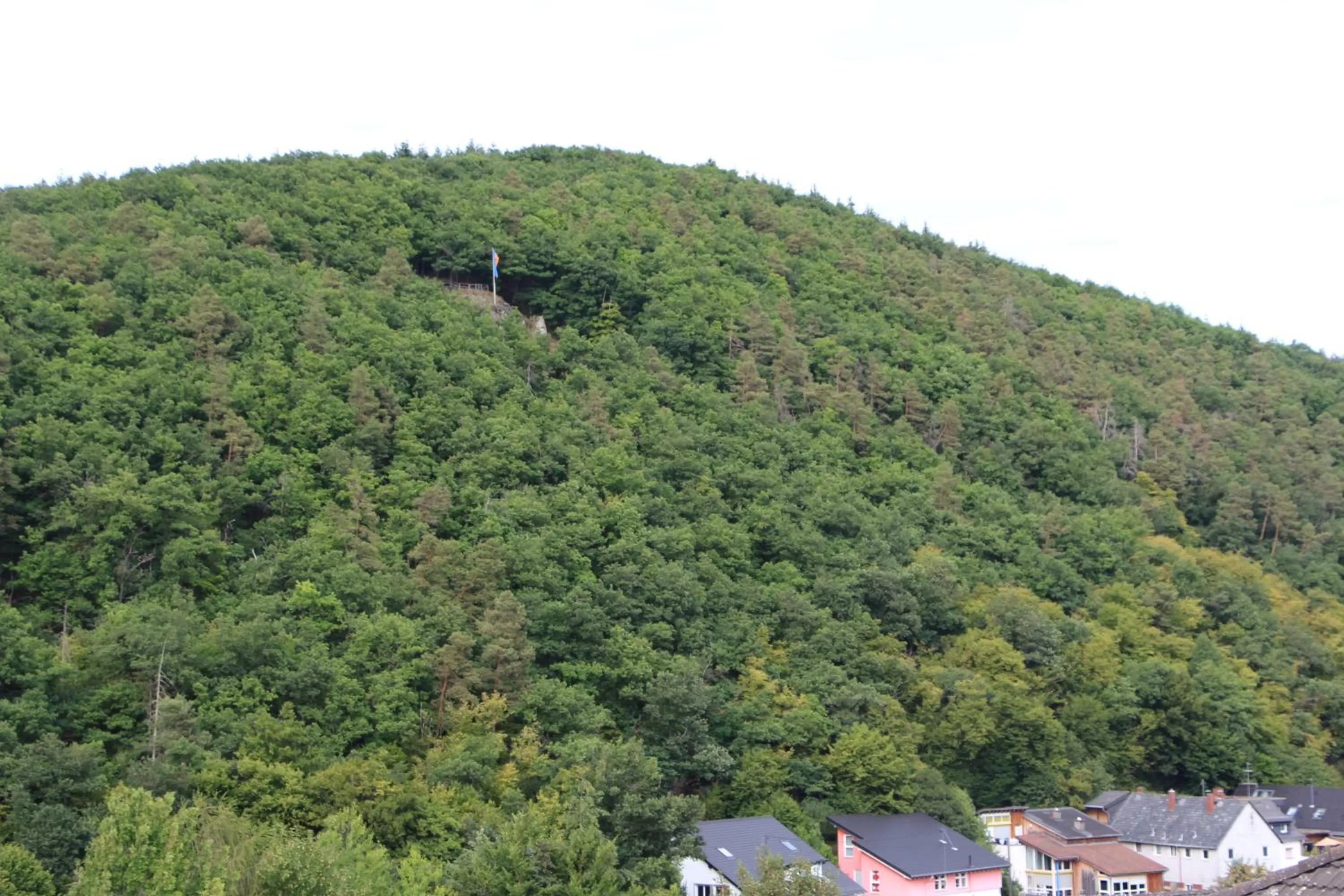 Natural landscape in Moderne Wohnung im Rhein-Main-Gebiet
