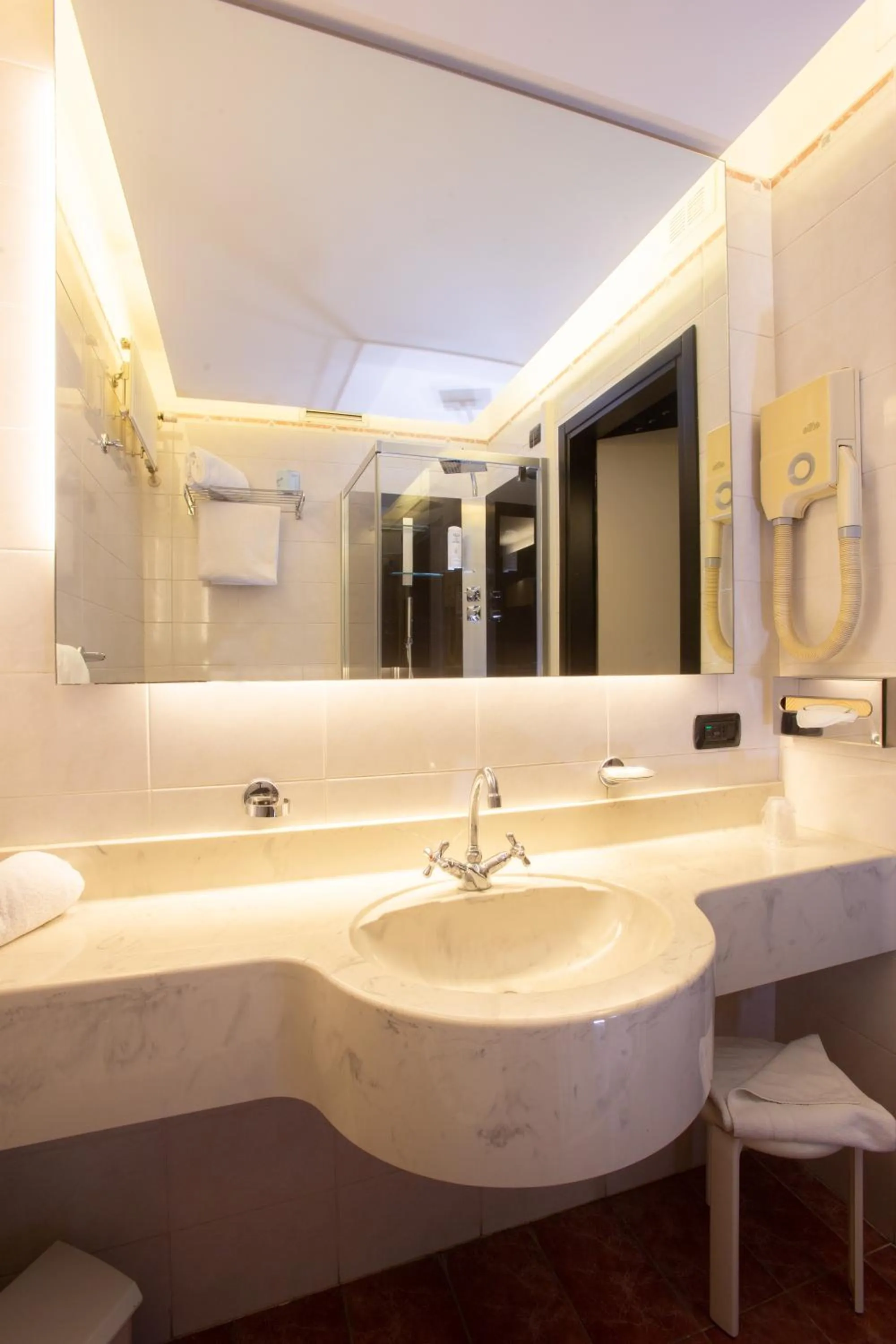 Double Room - single occupancy in Hotel Pineta