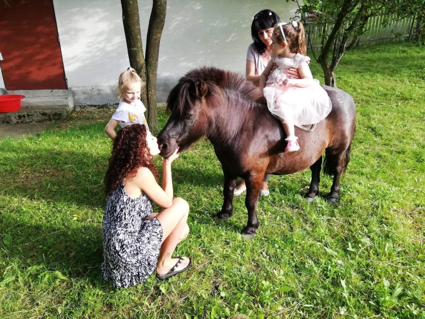 Day, Other Animals in Pensiunea SilvAnka