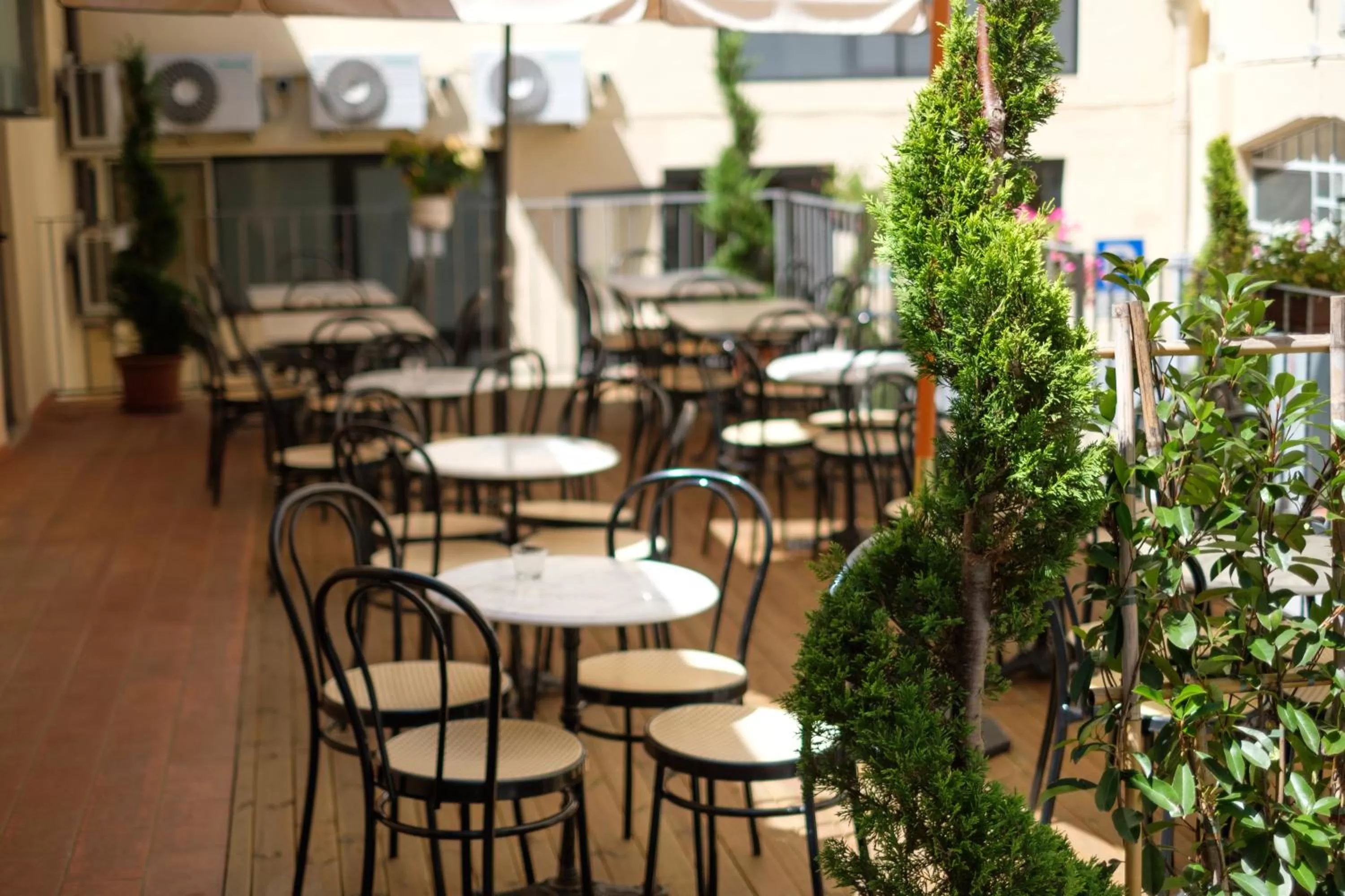 Garden in Hotel Firenze 2000