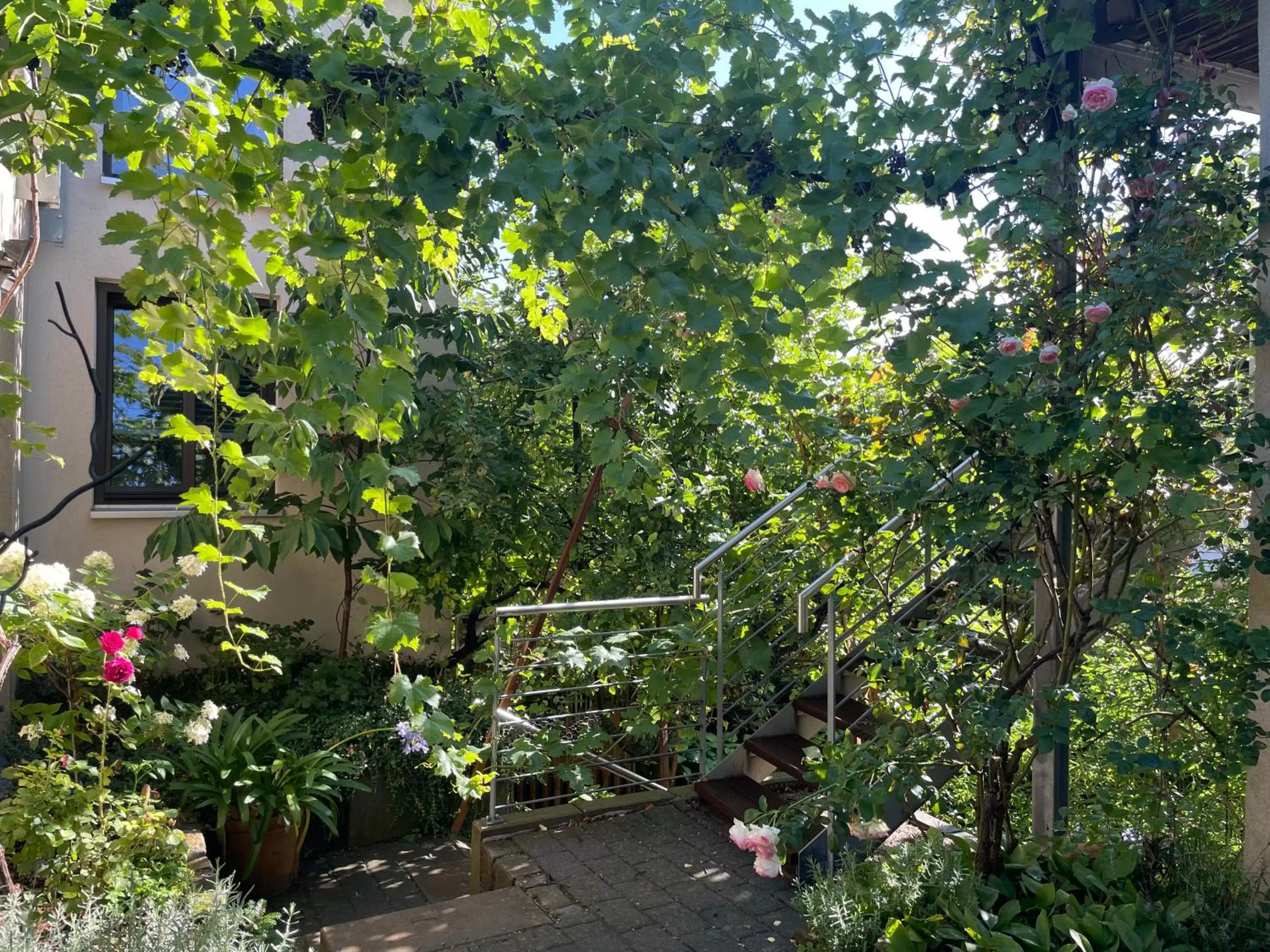 Patio in Jugendstil-Hof