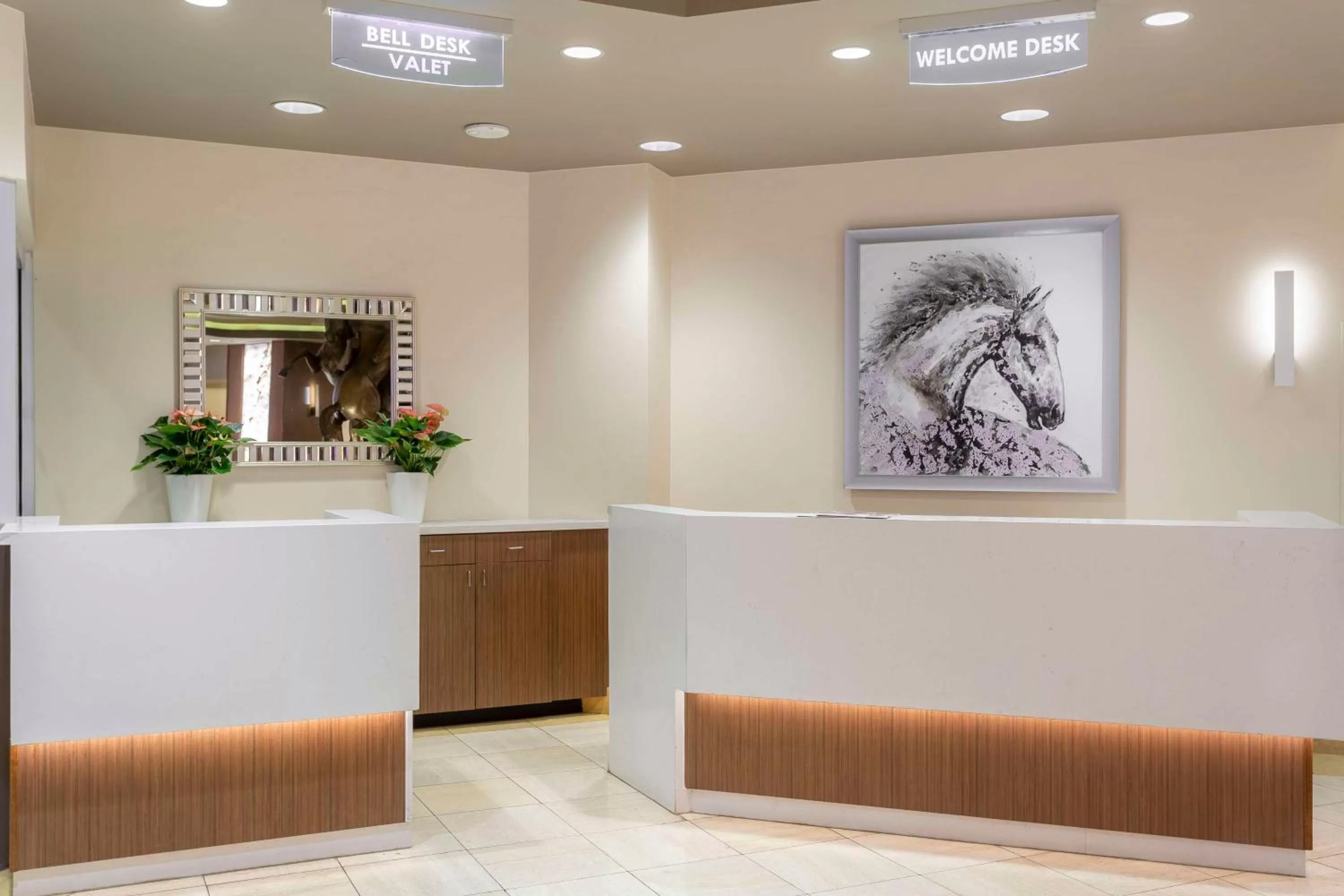 Lobby or reception in Hilton Vacation Club Polo Towers Las Vegas