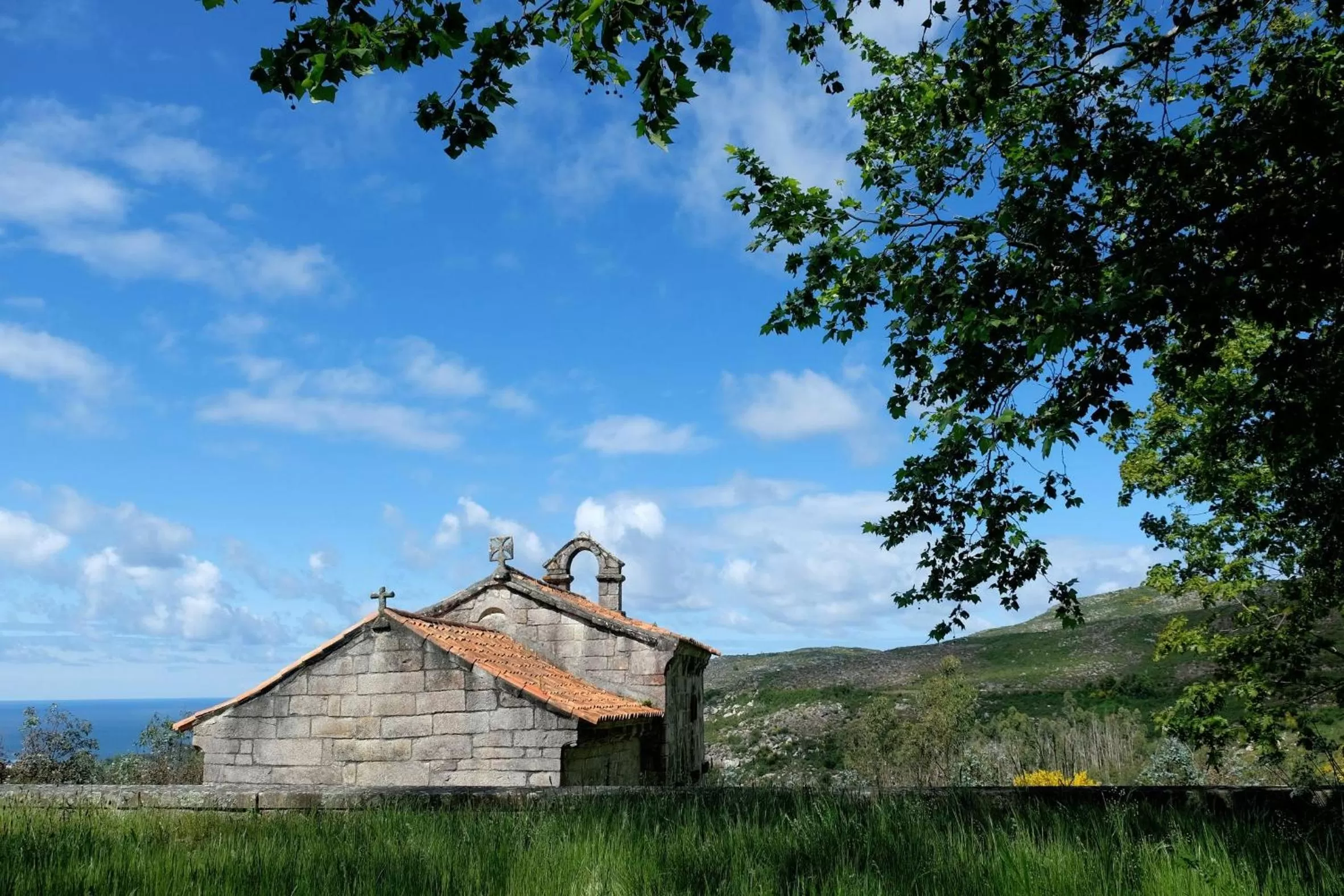 Natural landscape in Hotel Meira
