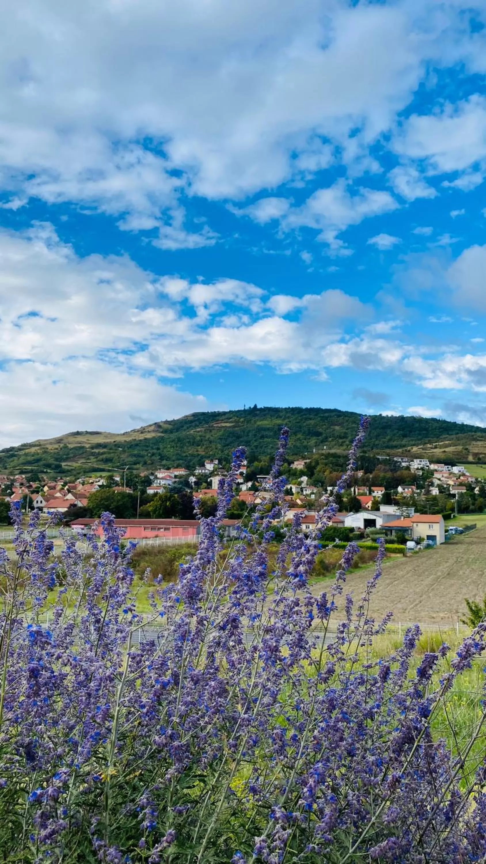 Mountain view in Best Western Plus Hôtel Gergovie