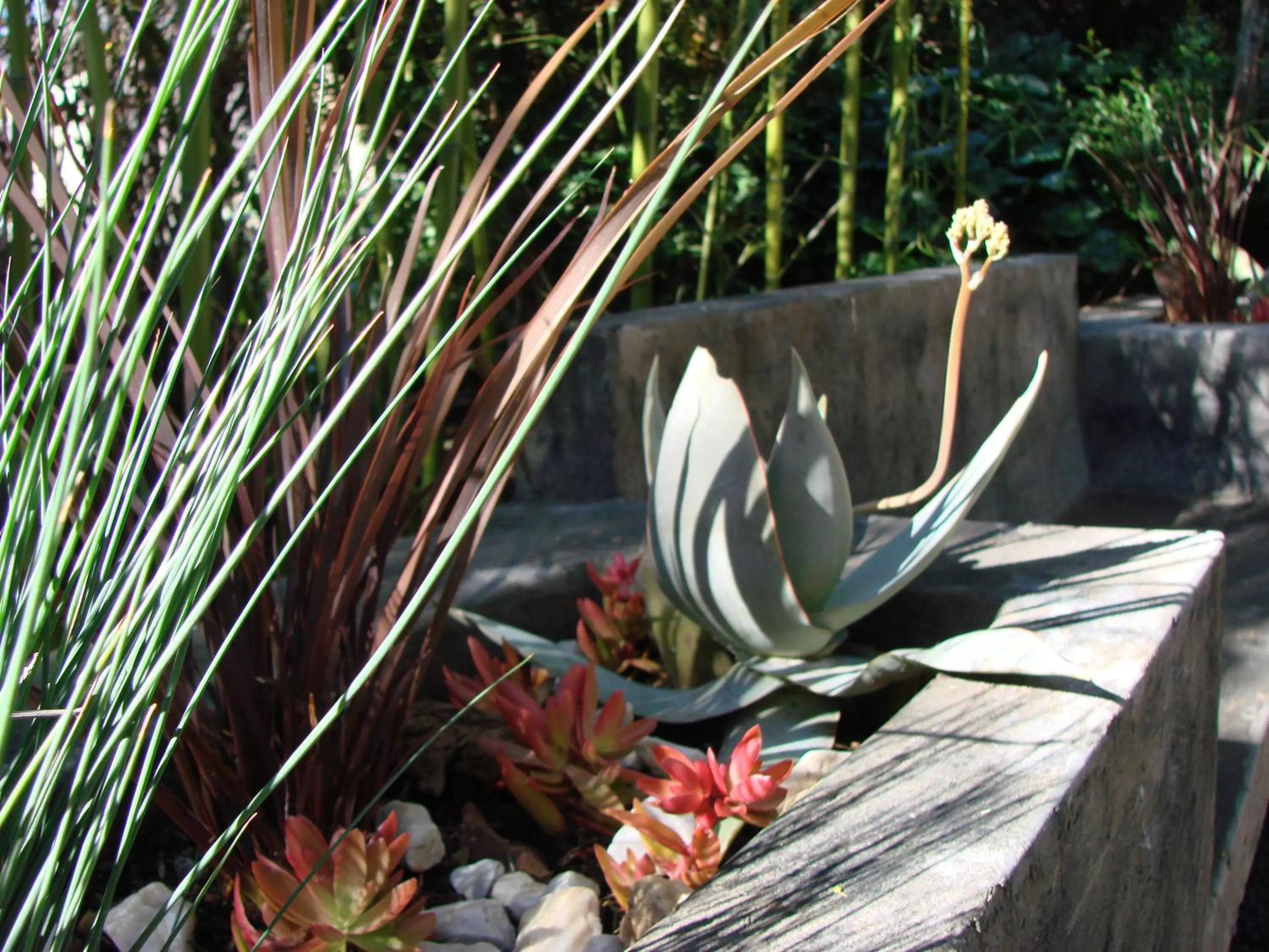 Patio in Jedidja Bed and Breakfast