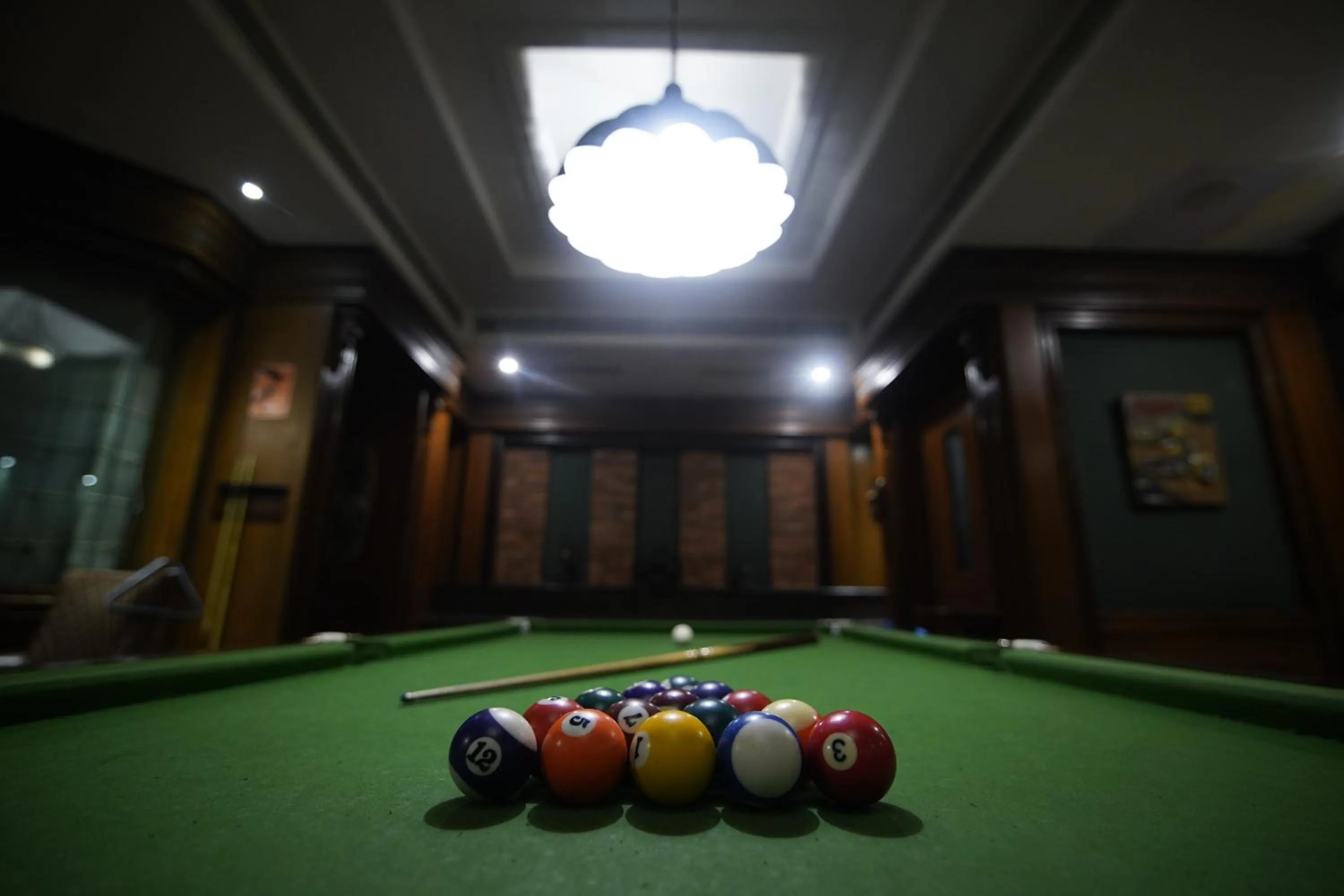 Billiard in Park Plaza Jodhpur