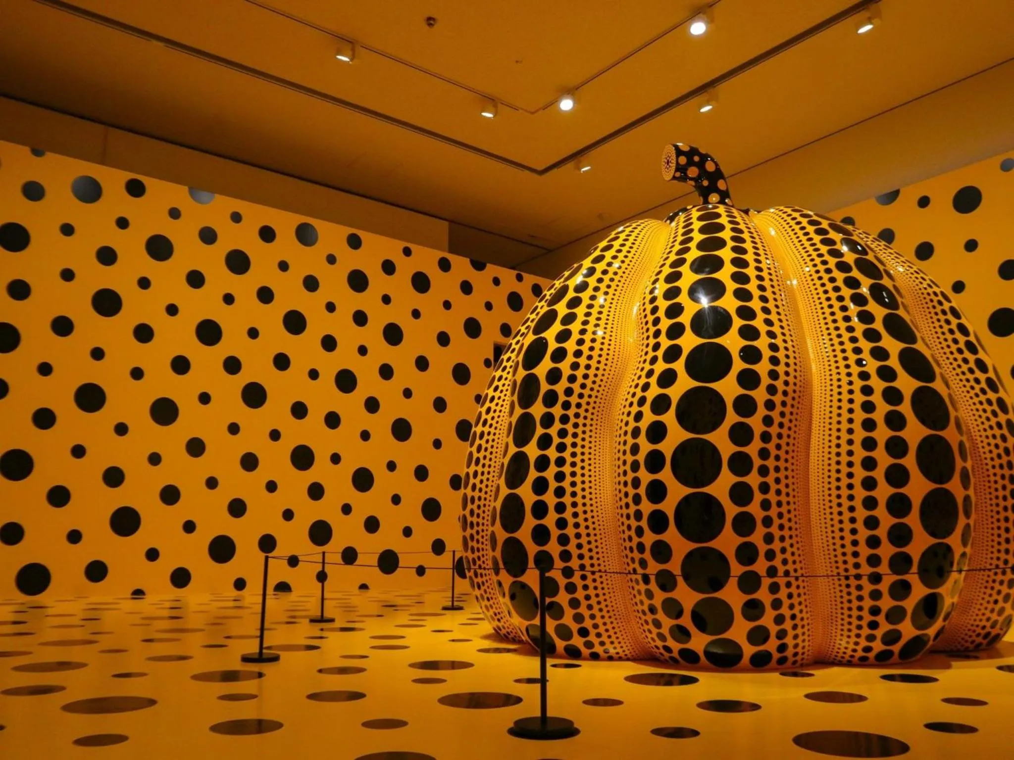 Area and facilities in Hotel Buena Vista