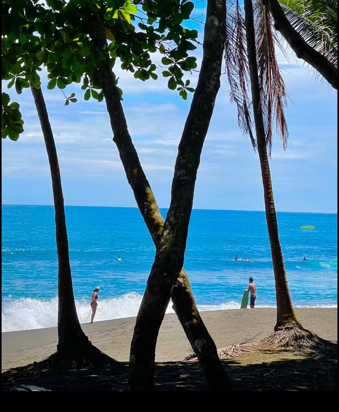 Beach in Hotel Beachfront Vista Hermosa