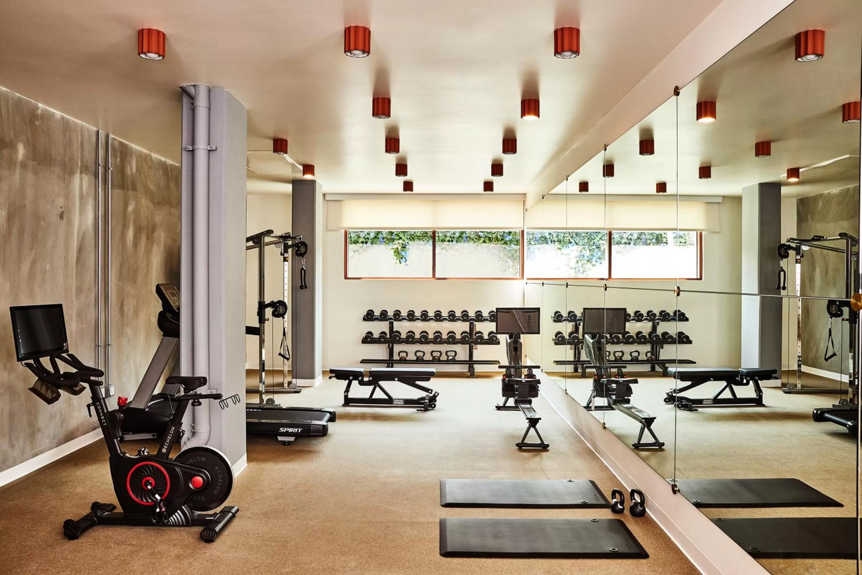 Fitness centre/facilities in Alsace LA