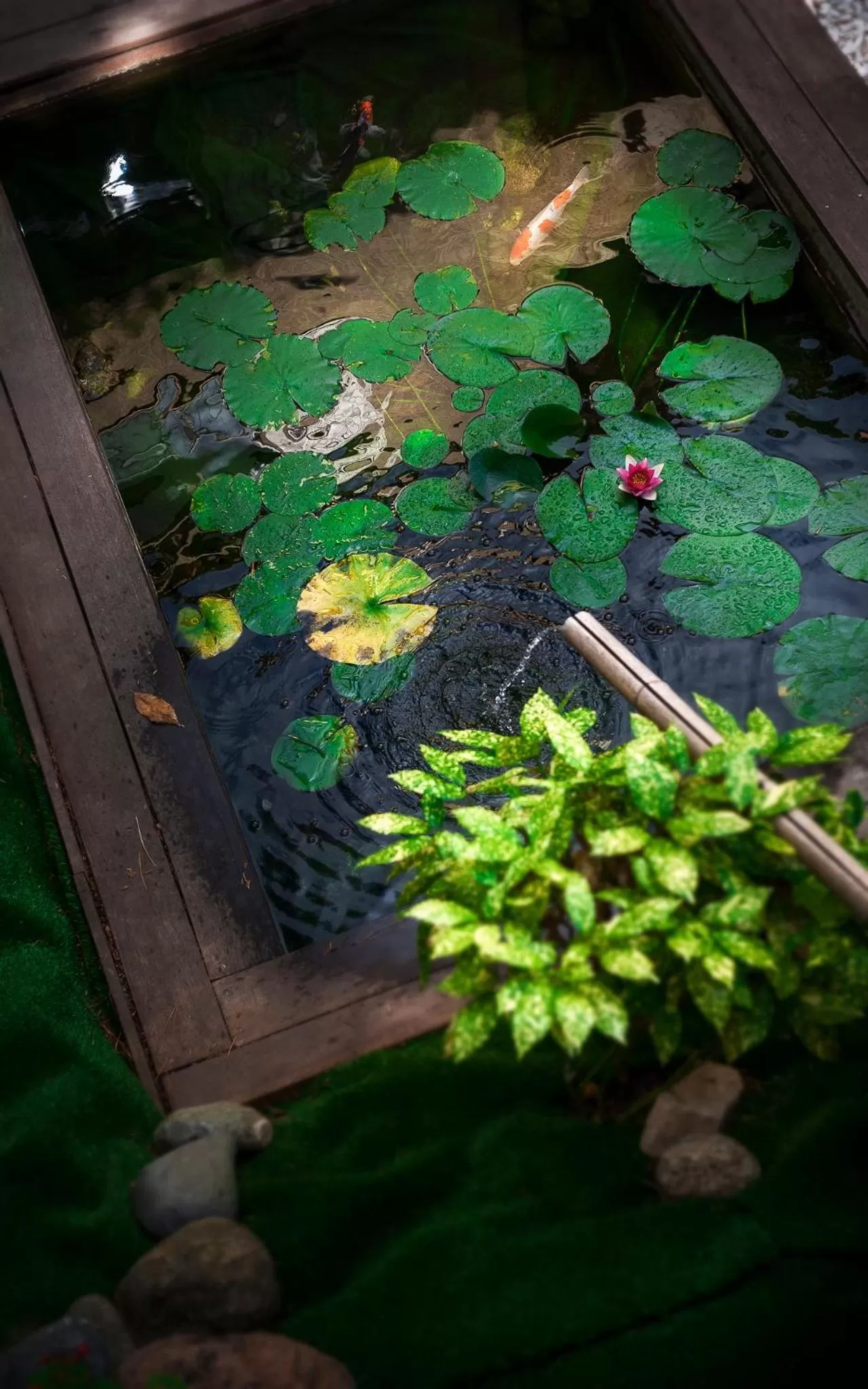 Garden in Hotel Bartaccia