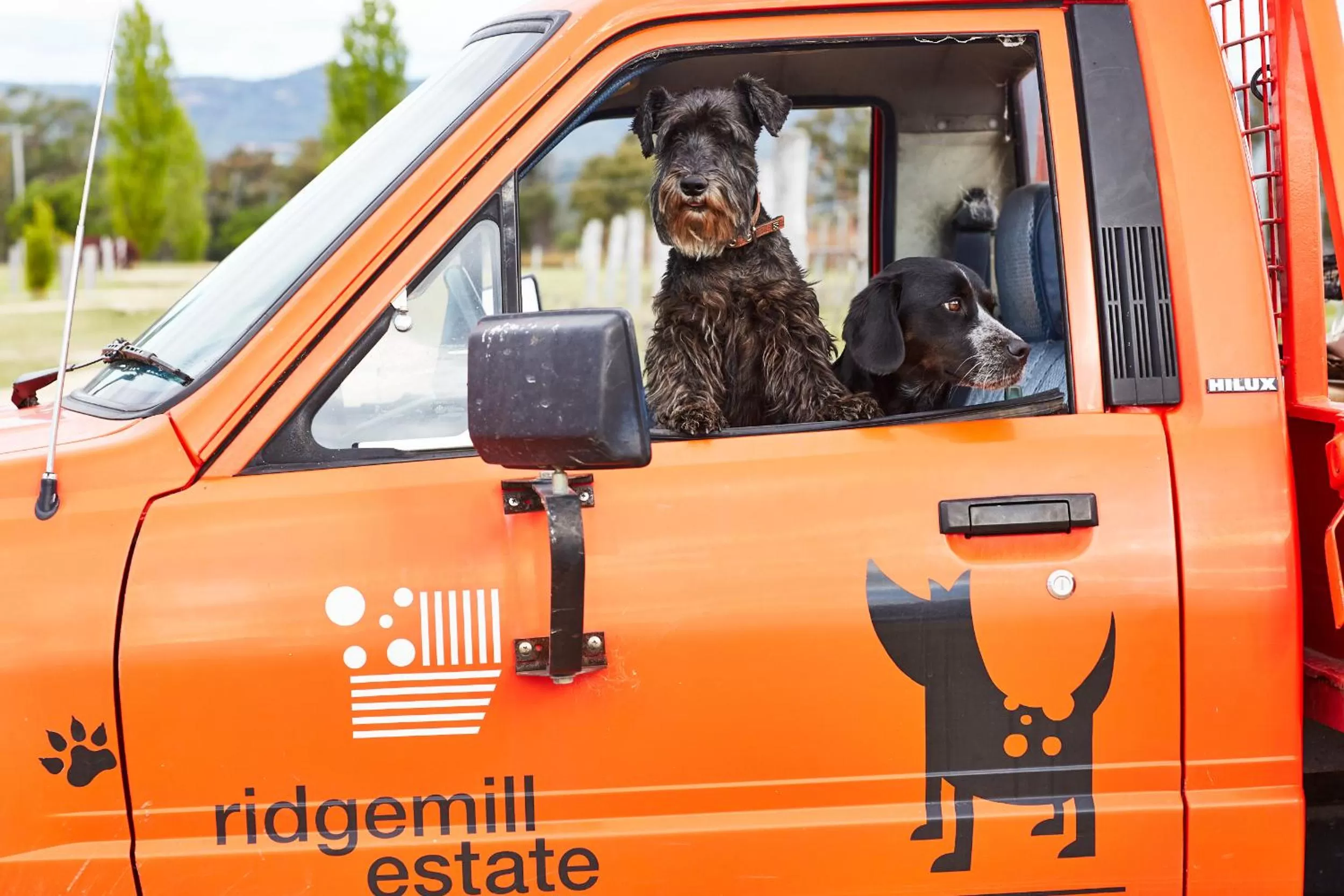 Pets in Ridgemill Estate