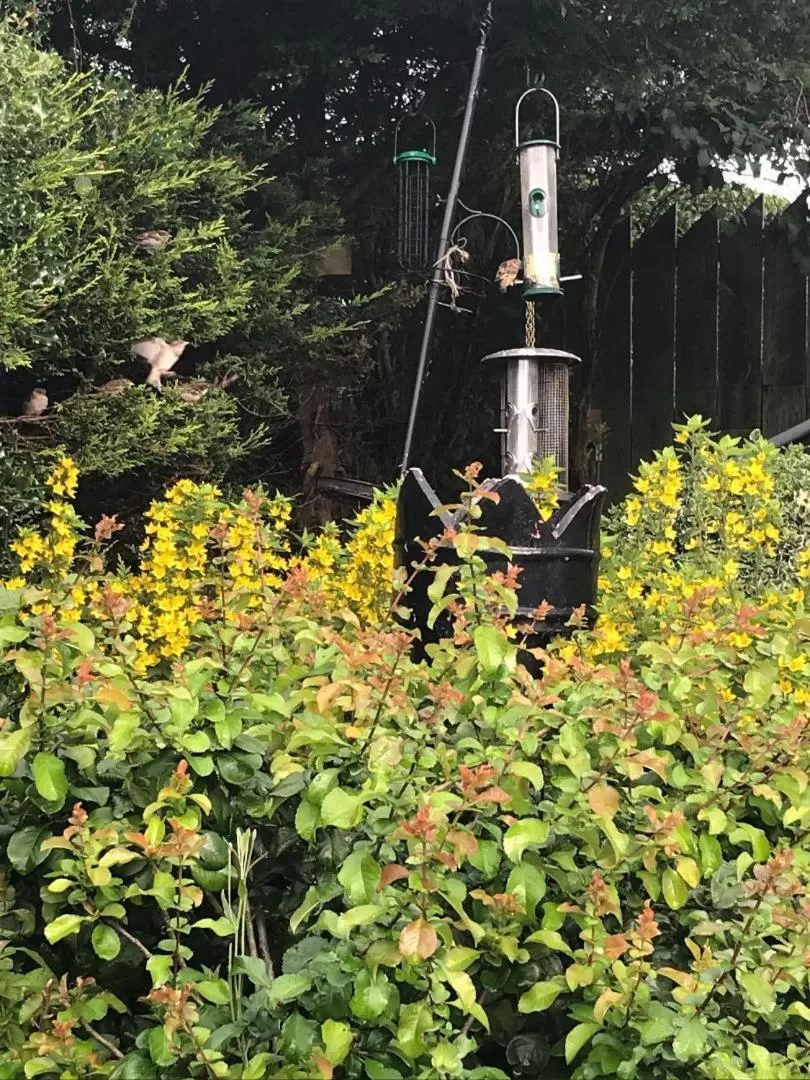 Jacquie's B&B -Dumfries-Room with a view - hot tub