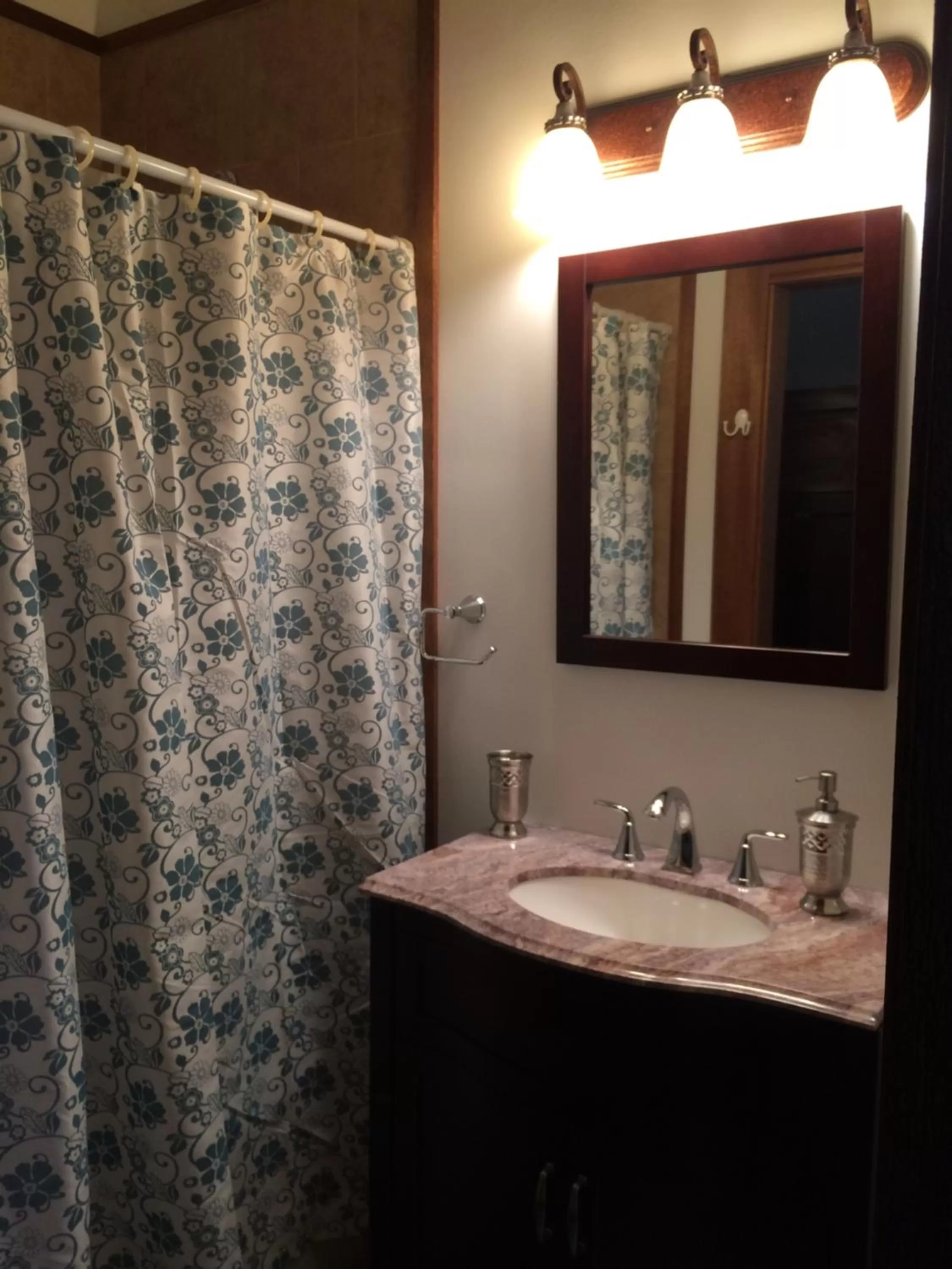 Bathroom in Hilo Bay Oceanfront Bed and Breakfast