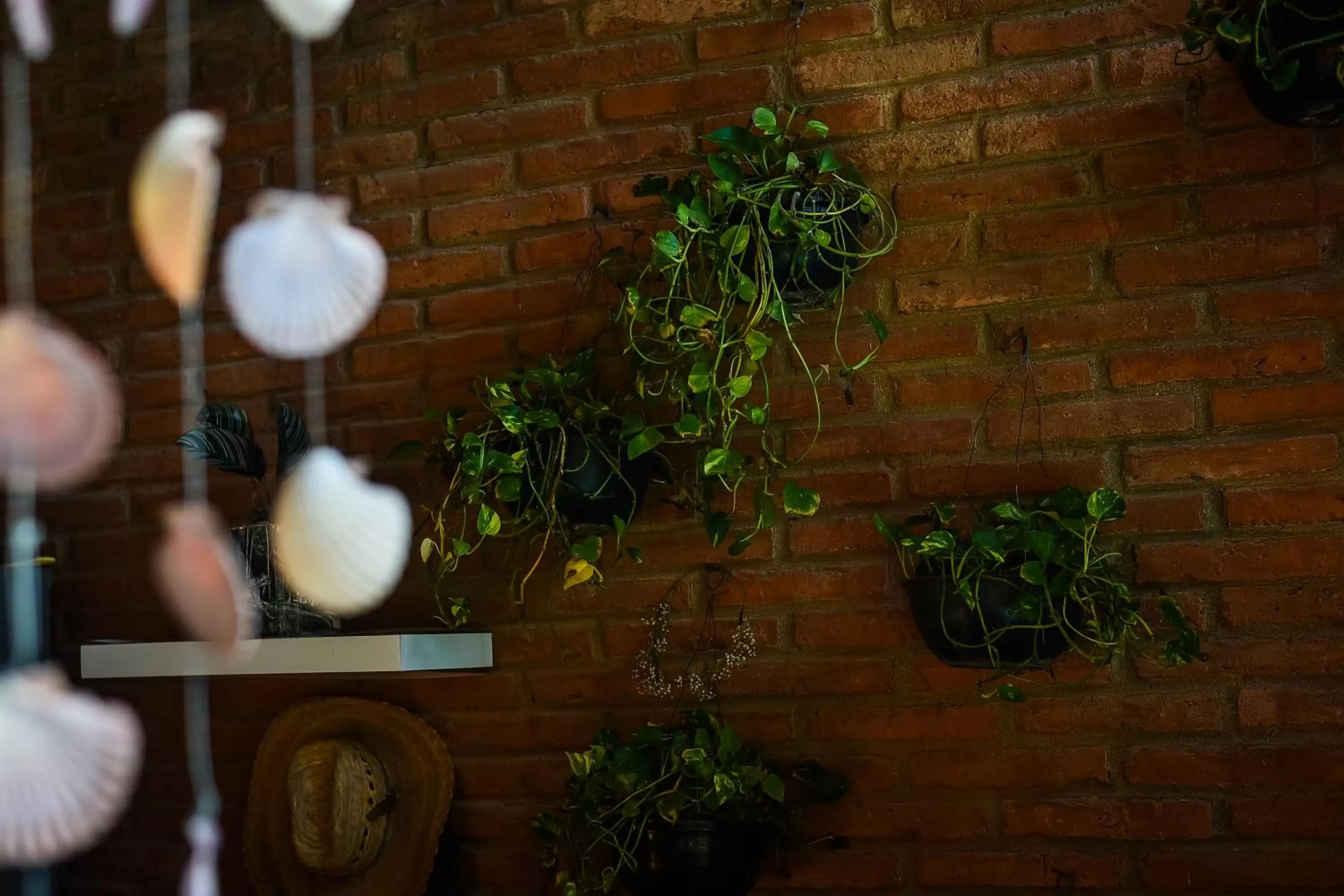 Hosteria Chata Adults Only