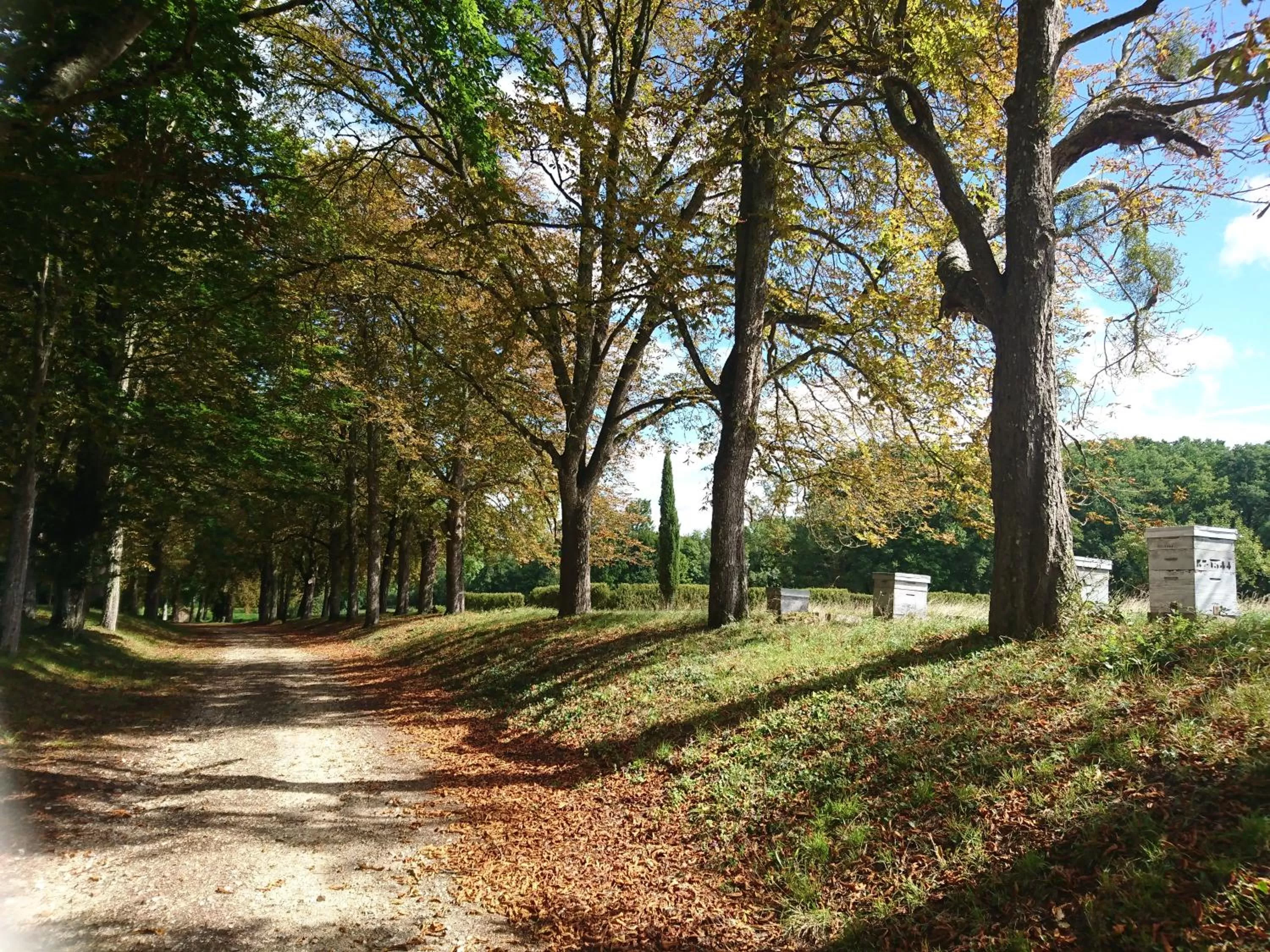 Natural landscape in Manoir de la Rémonière