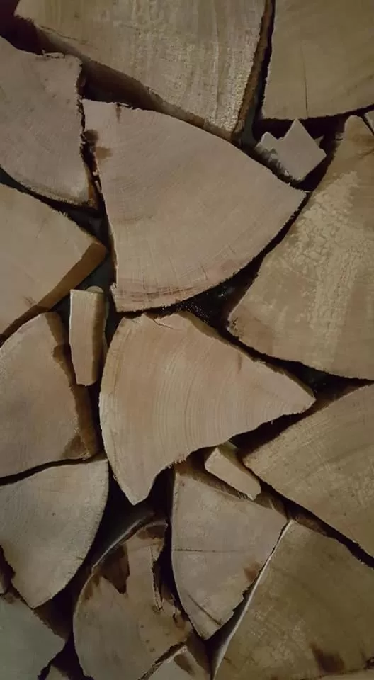 Öko-Landhotel Basler Hof